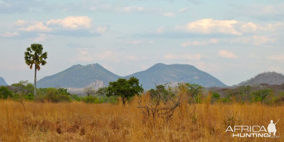 Rungwa South, Tanzania