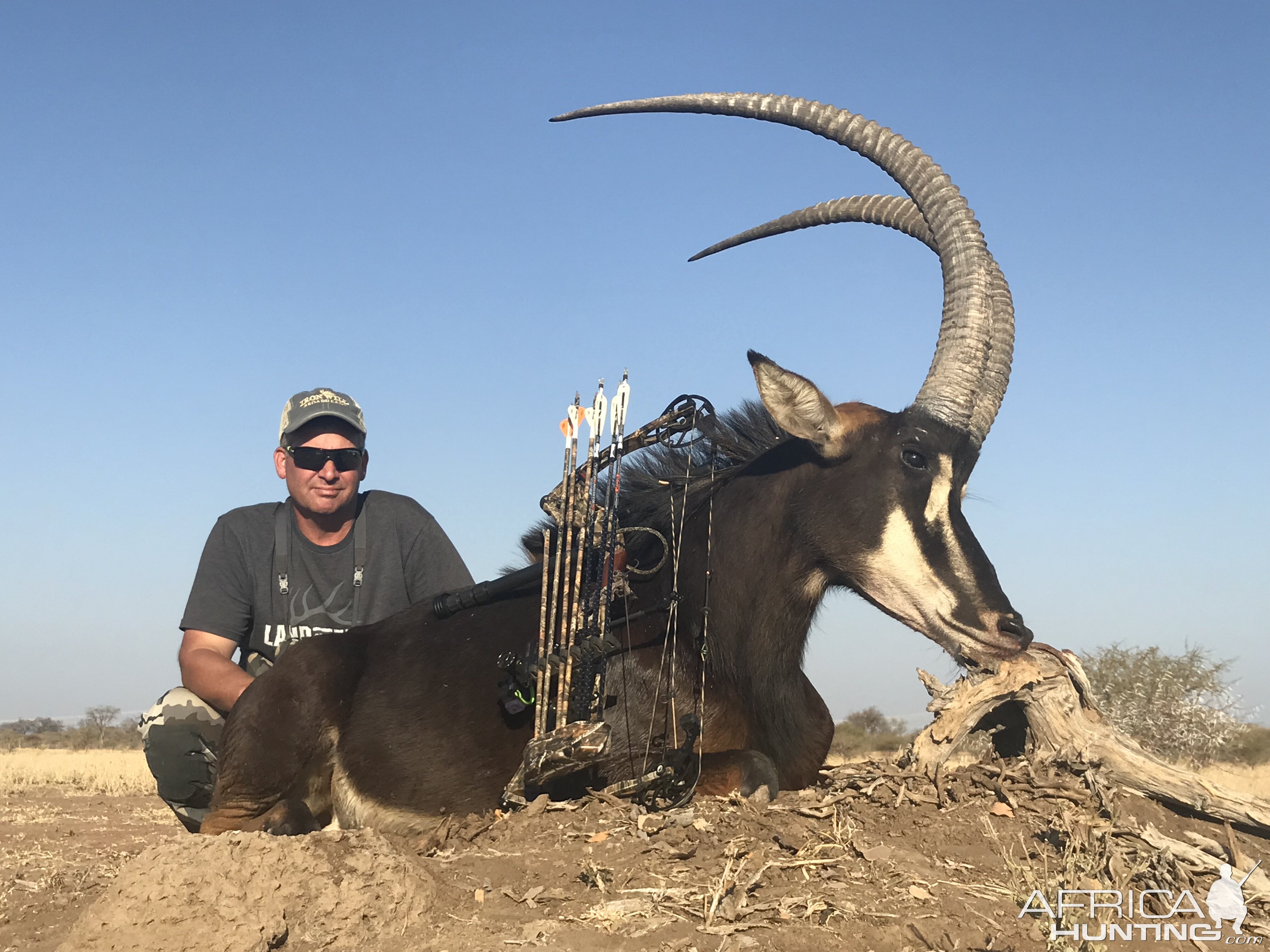 Sable Antelope Bow Hunt South Africa