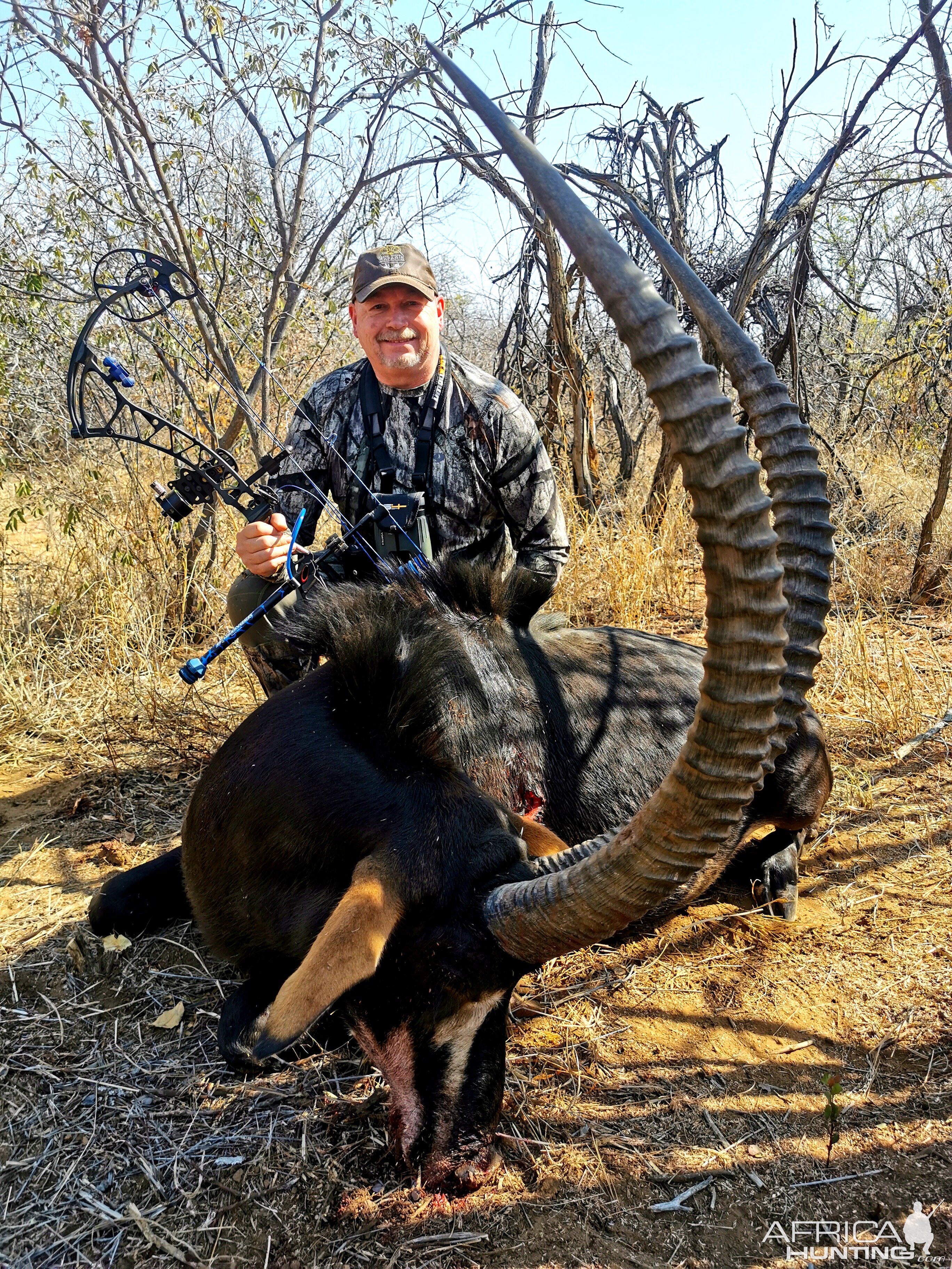 Sable Antelope Bow Hunt South Africa