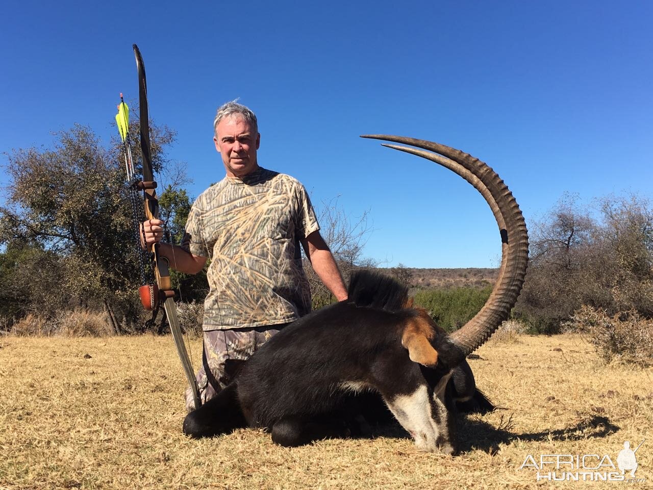 Sable Antelope Bow Hunting South Africa