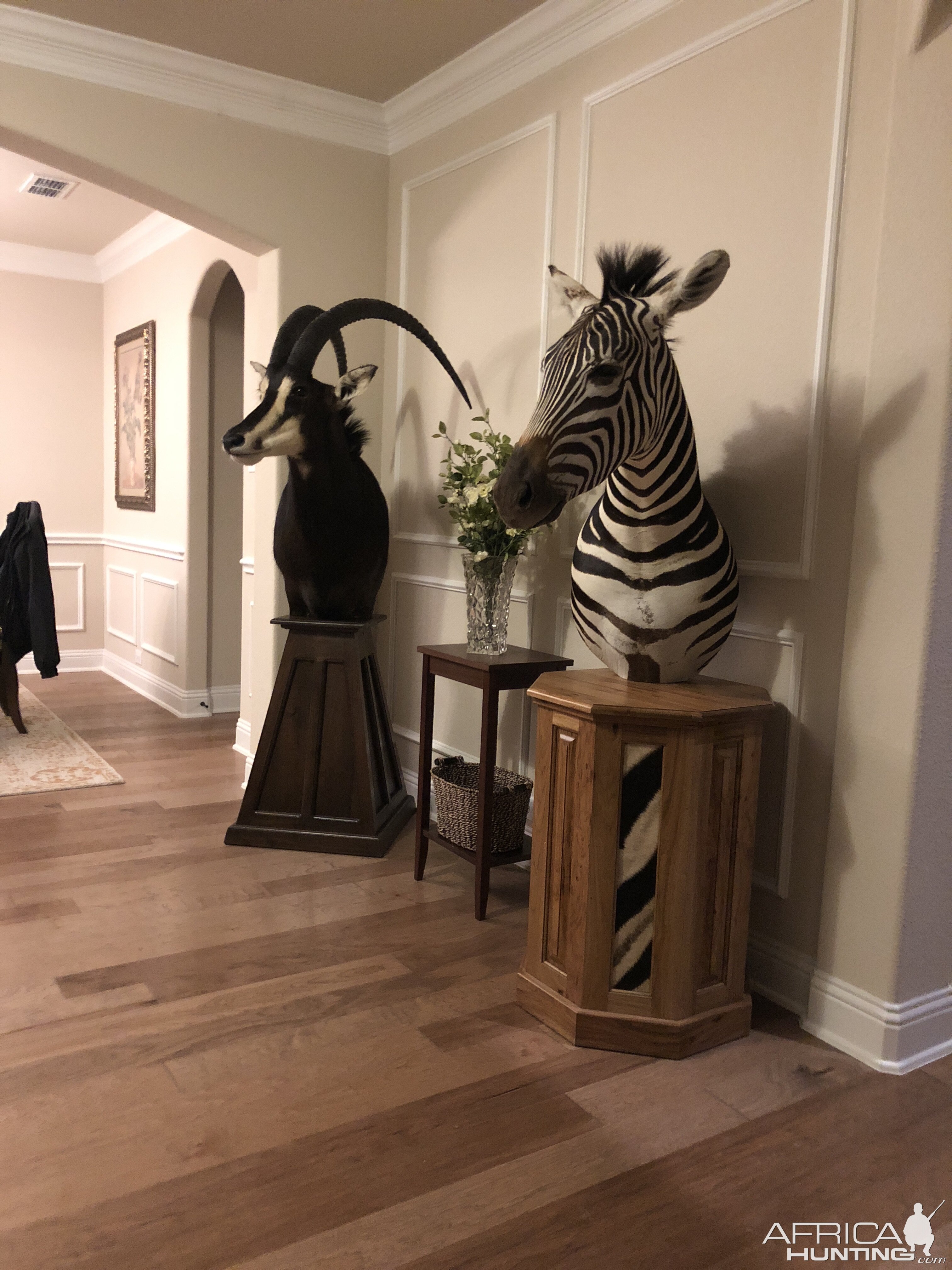 Sable Antelope & Burchell's Plain Zebra Shoulder Mount Pedestal Taxidermy