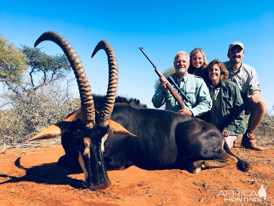 Sable Antelope Hunt in South Africa