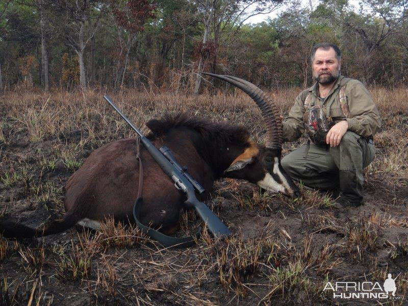 Sable Antelope Hunt Mozambique