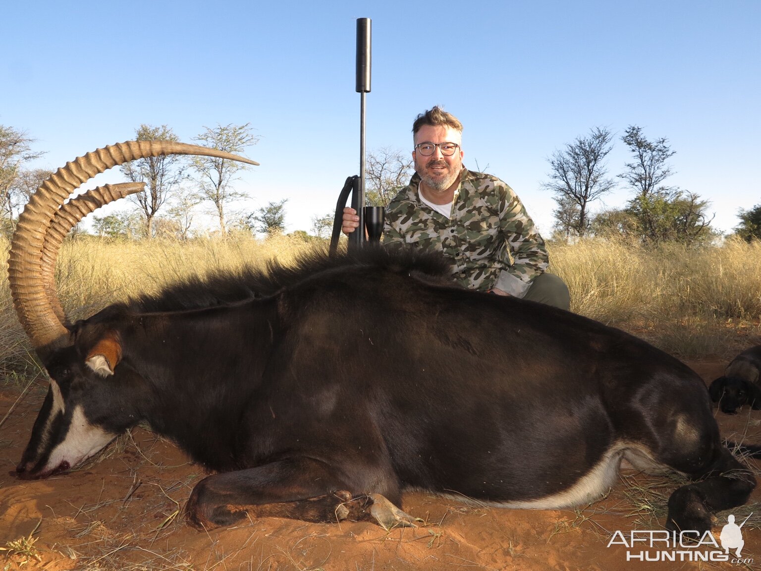 Sable Antelope Hunt Namibia