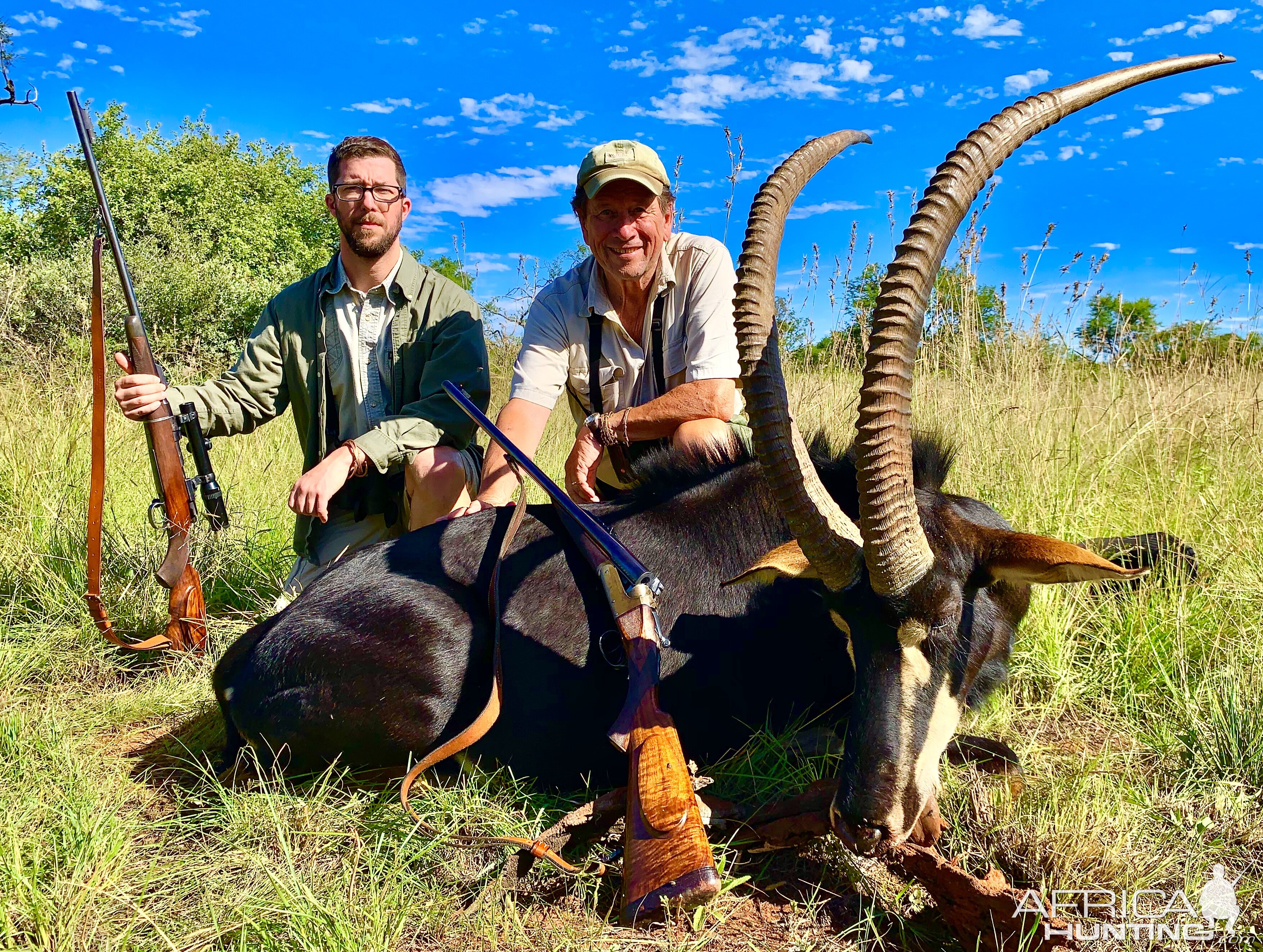 Sable Antelope Hunt South Africa