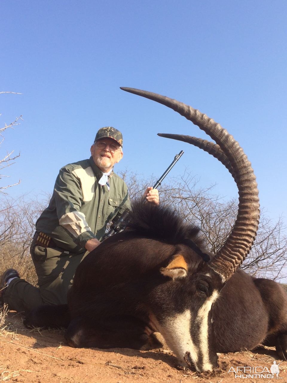 Sable Antelope Hunt South Africa