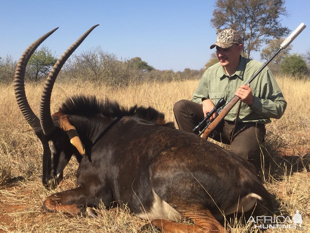 Sable Antelope Hunt South Africa