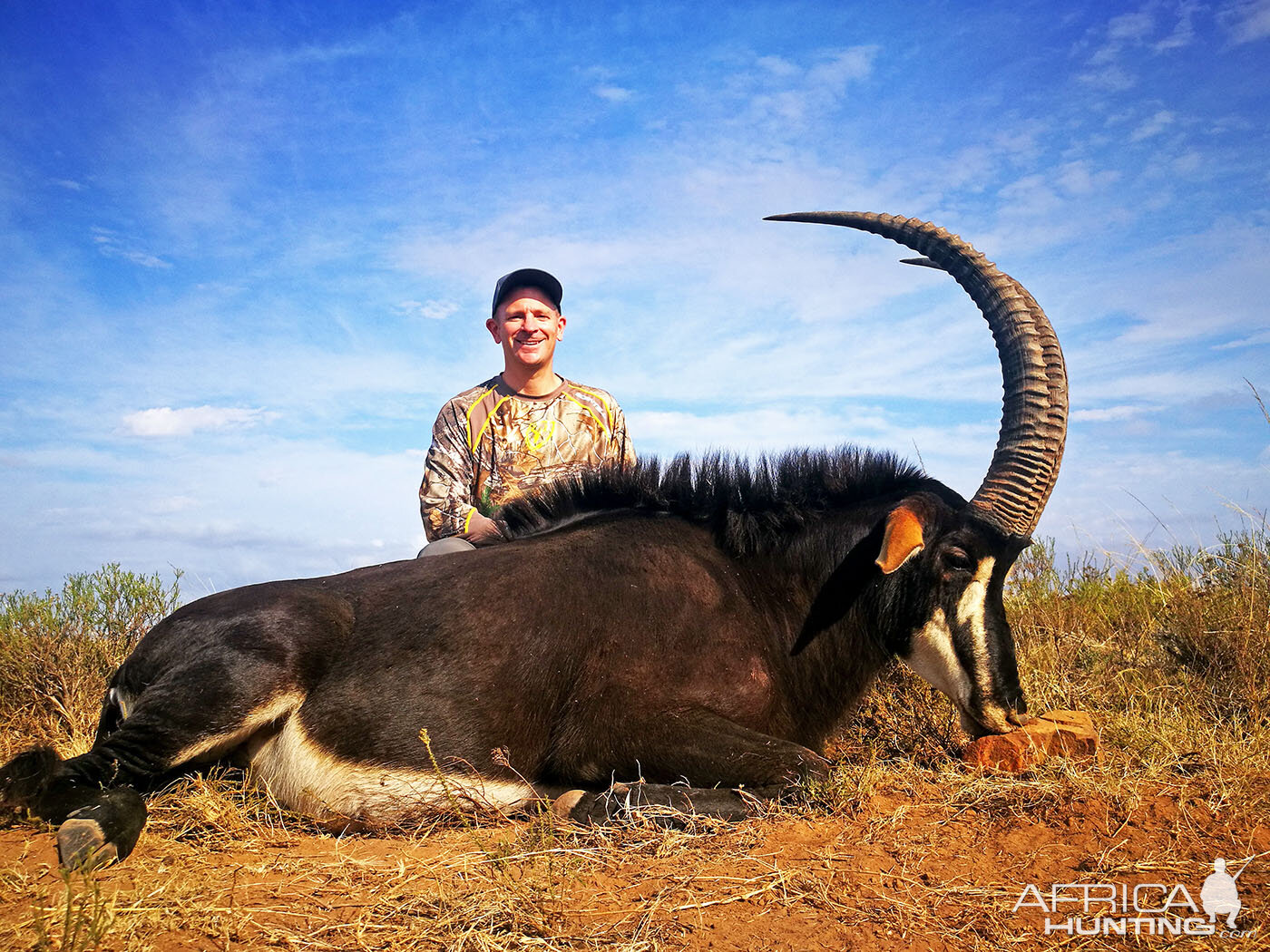 Sable Antelope Hunt South Africa