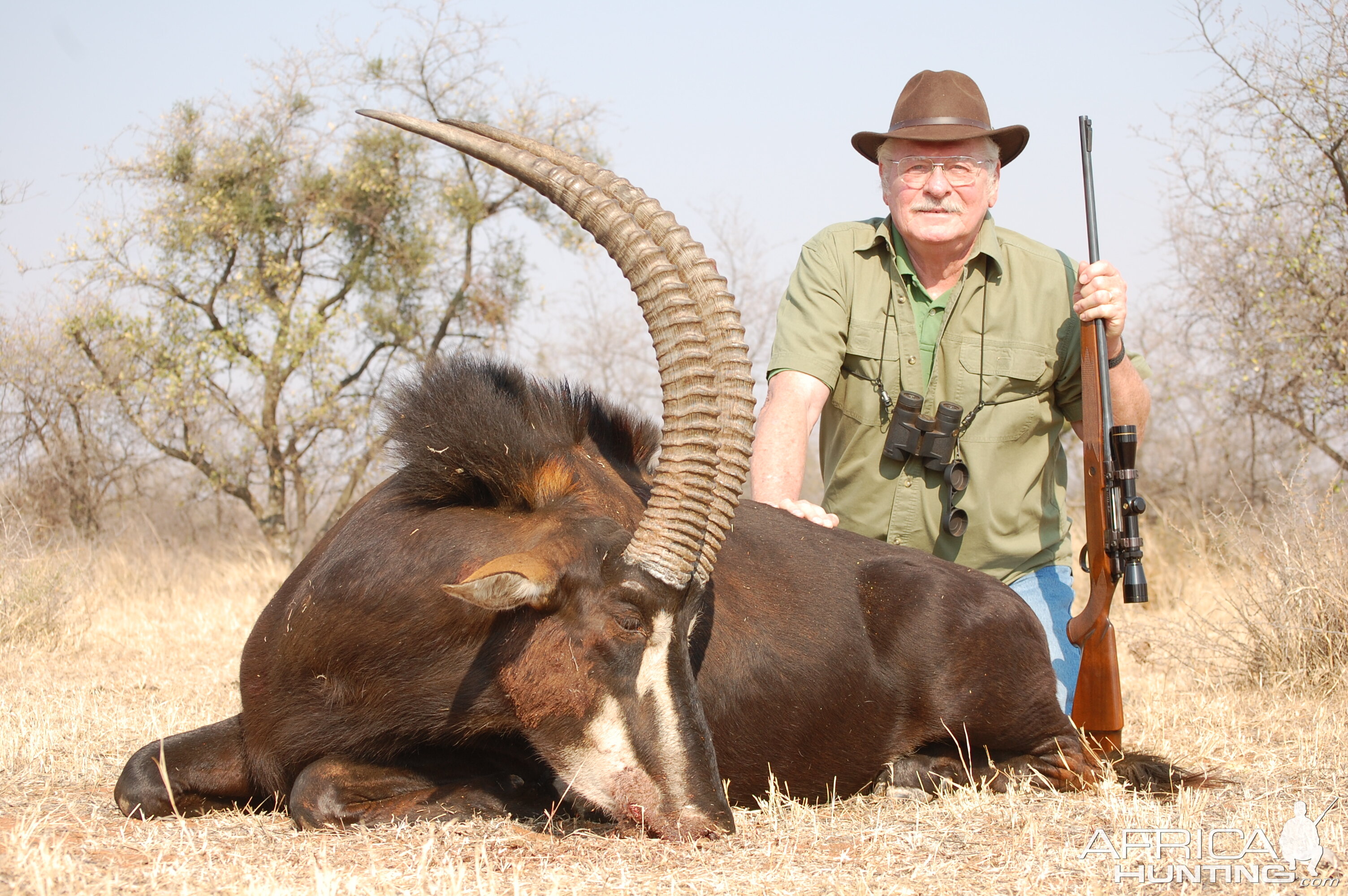 Sable Antelope Hunt South Africa