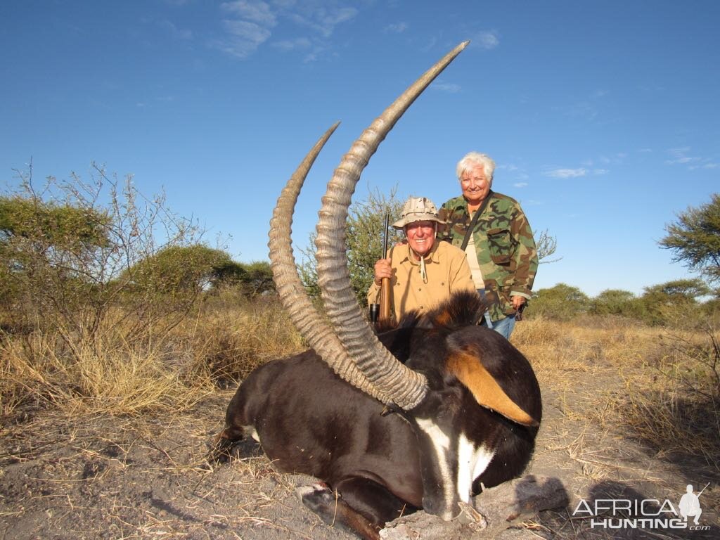 Sable Antelope Hunt South Africa