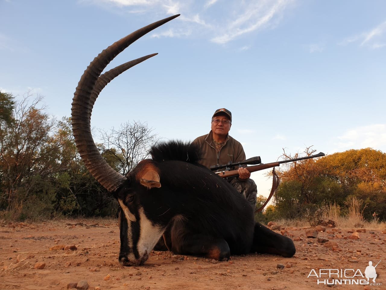 Sable Antelope Hunt South Africa