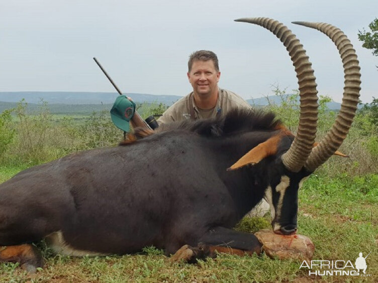 Sable Antelope Hunt South Africa