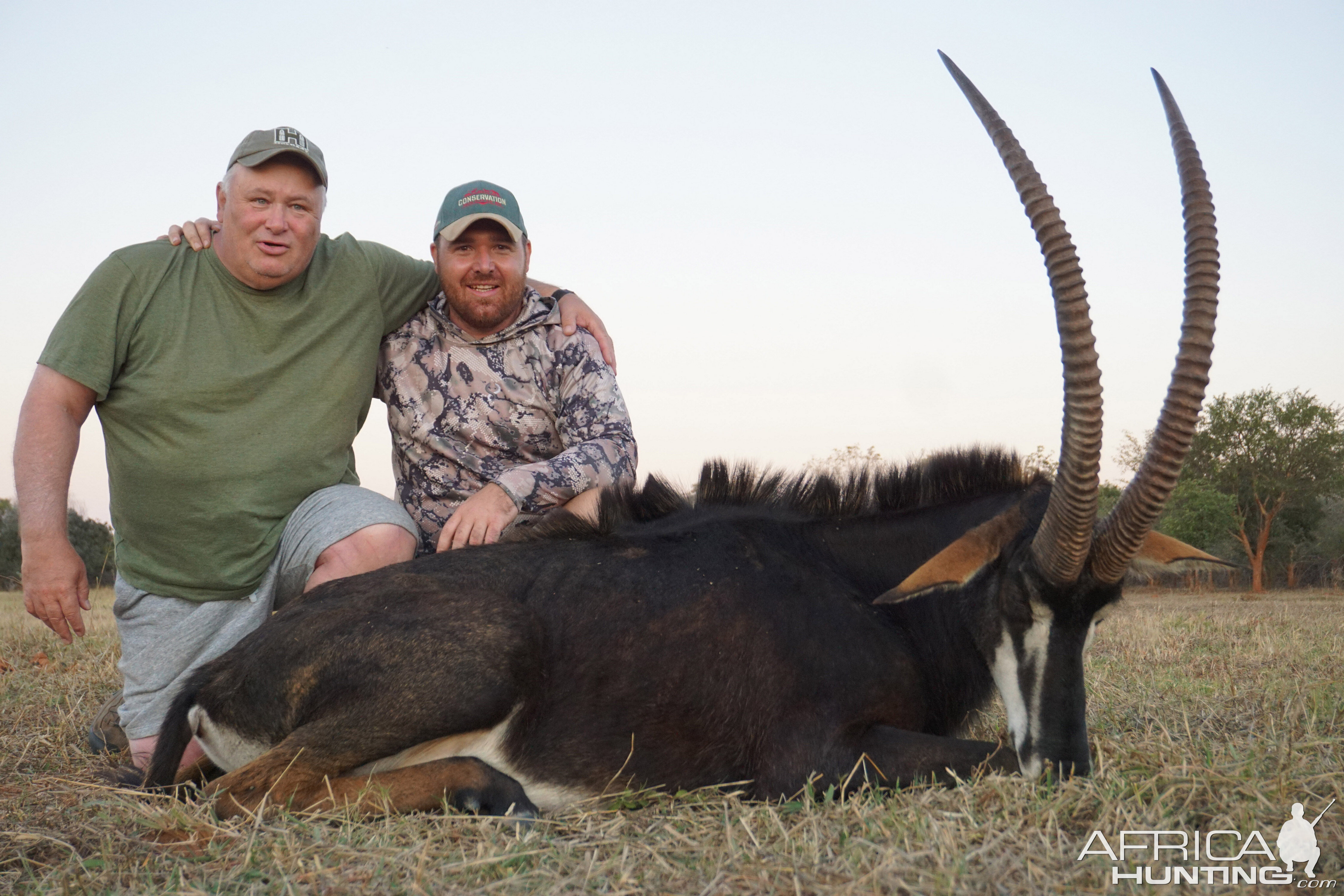 Sable Antelope Hunt Zambia