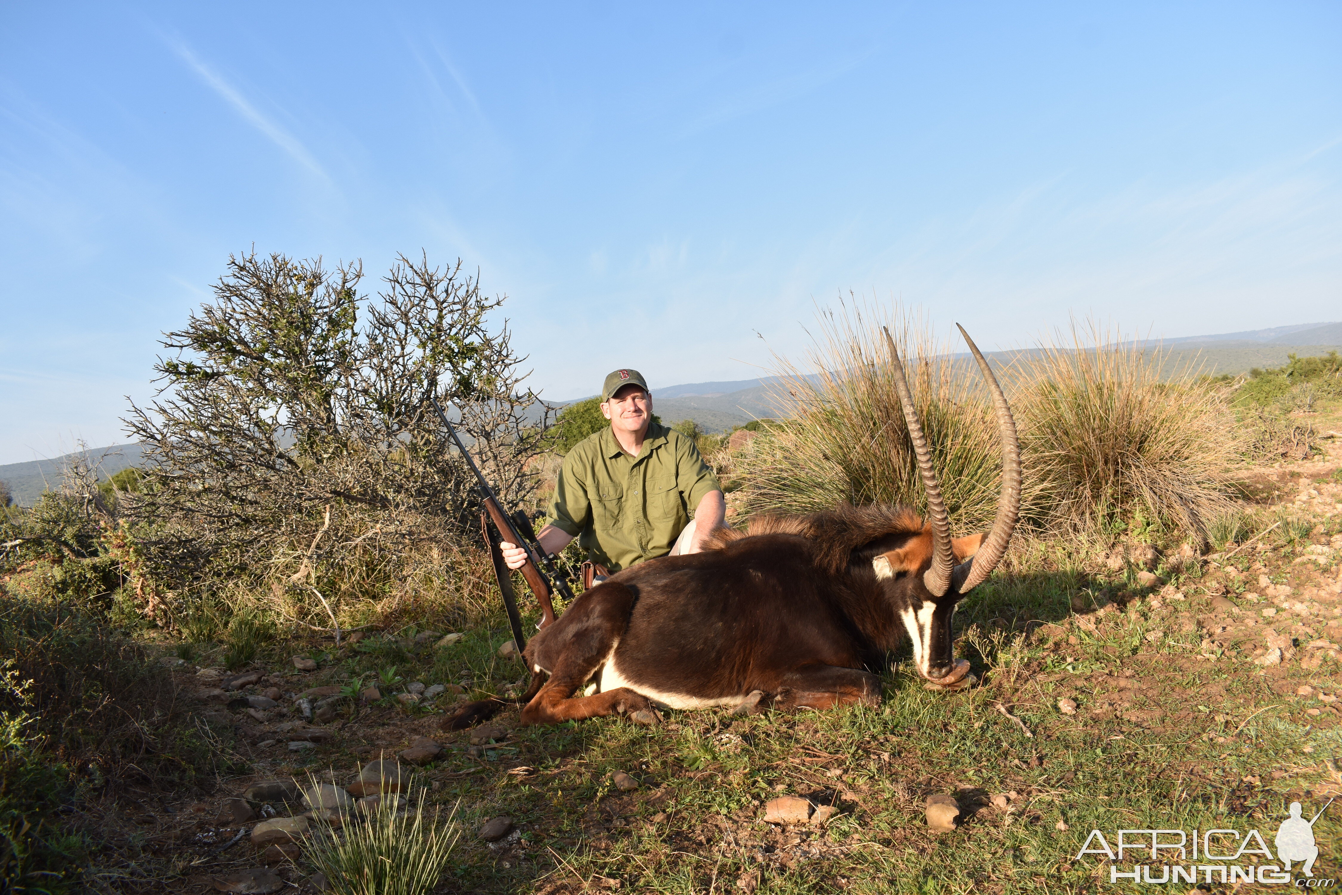 Sable Antelope Hunting in South Africa