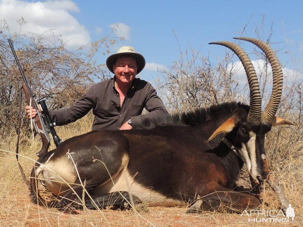 Sable Antelope Hunting in South Africa