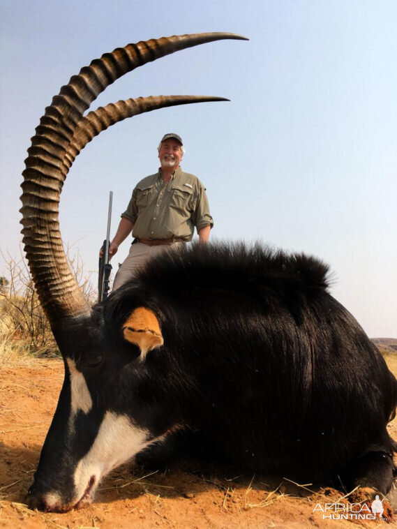 Sable Antelope Hunting Namibia