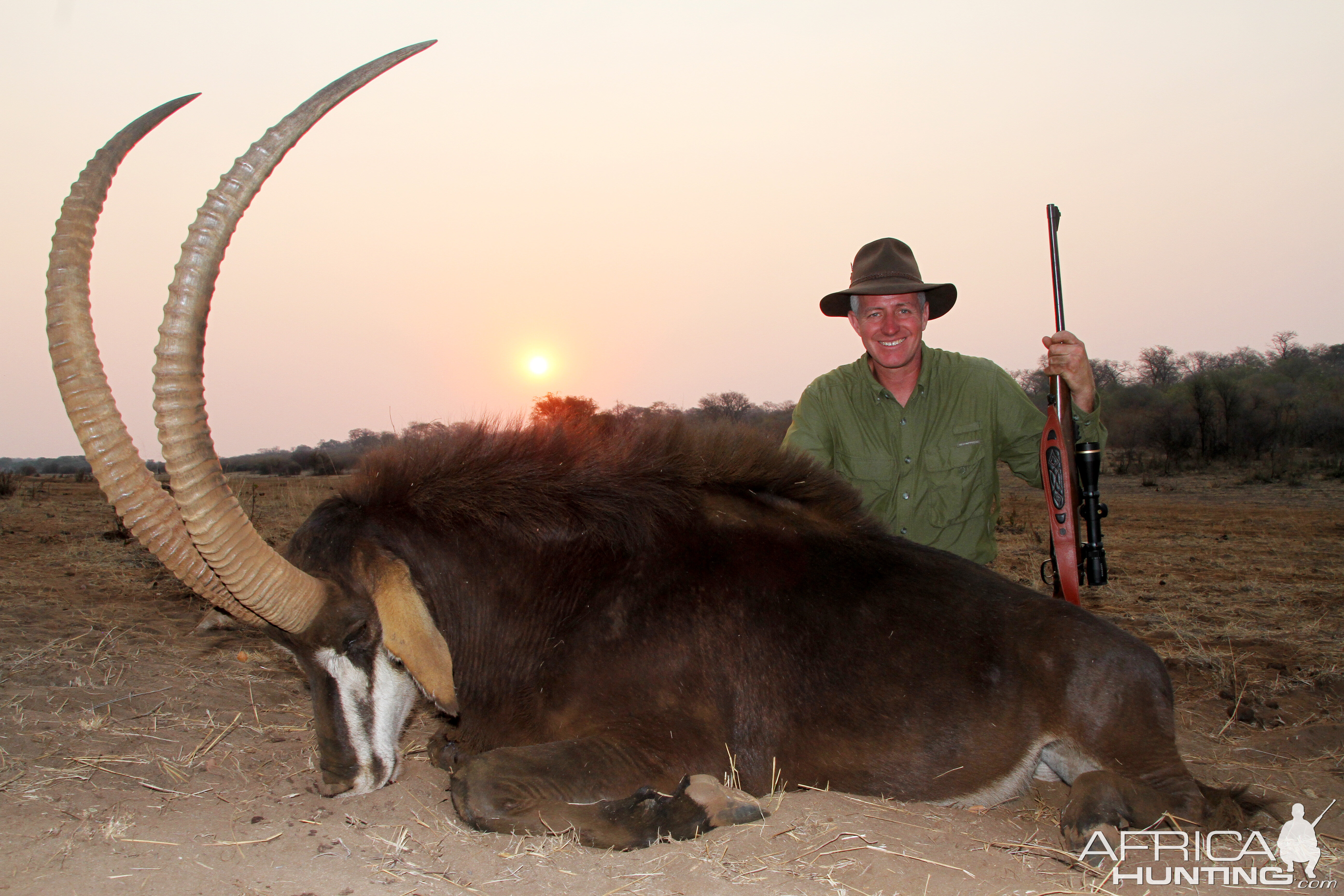 Sable Antelope Hunting Namibia