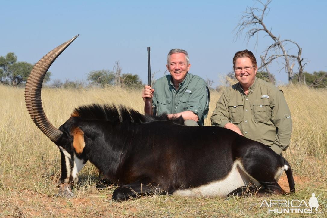 Sable Antelope Hunting South Africa