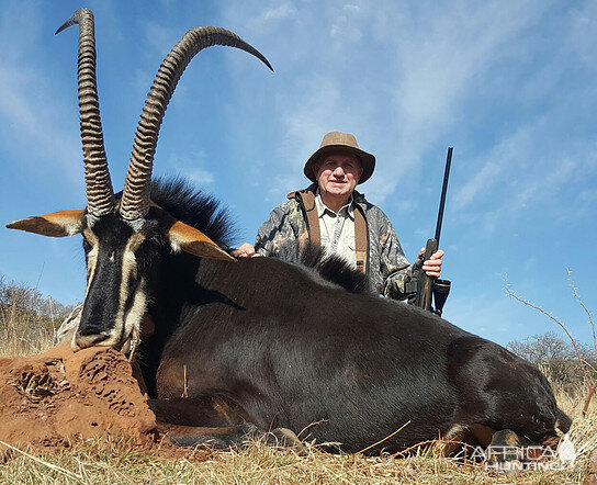 Sable Antelope Hunting South Africa