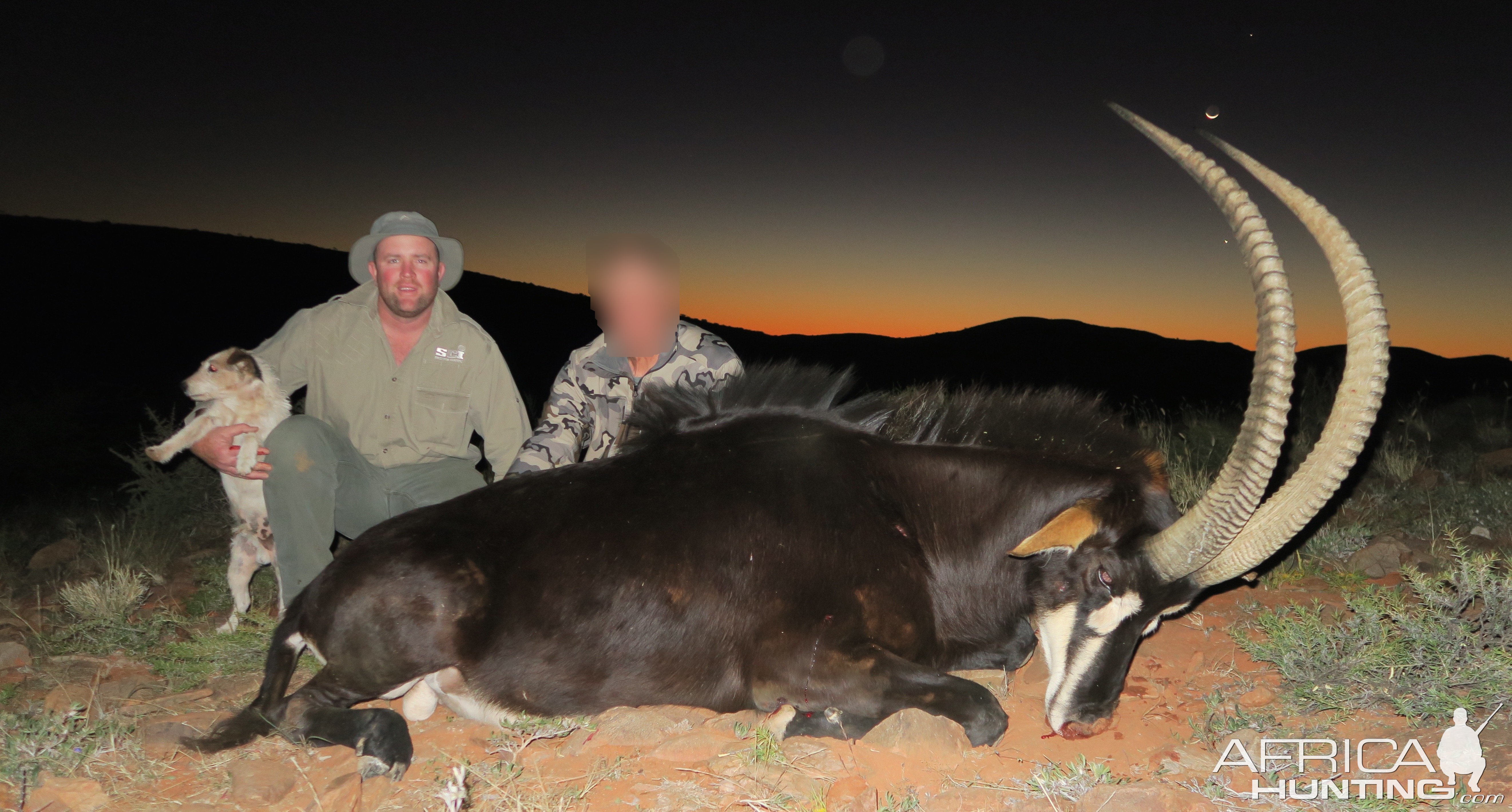 Sable Antelope Hunting South Africa