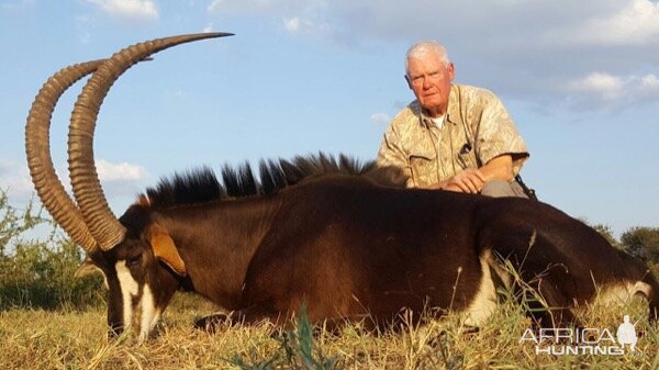 Sable Antelope Hunting South Africa