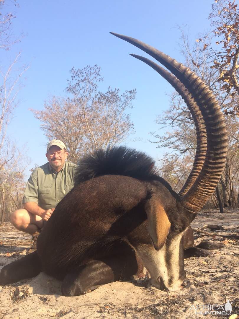 Sable Antelope Hunting Zimbabwe