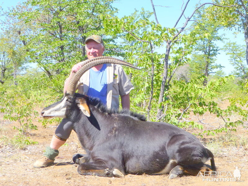 Sable Antelope Hunting Zimbabwe