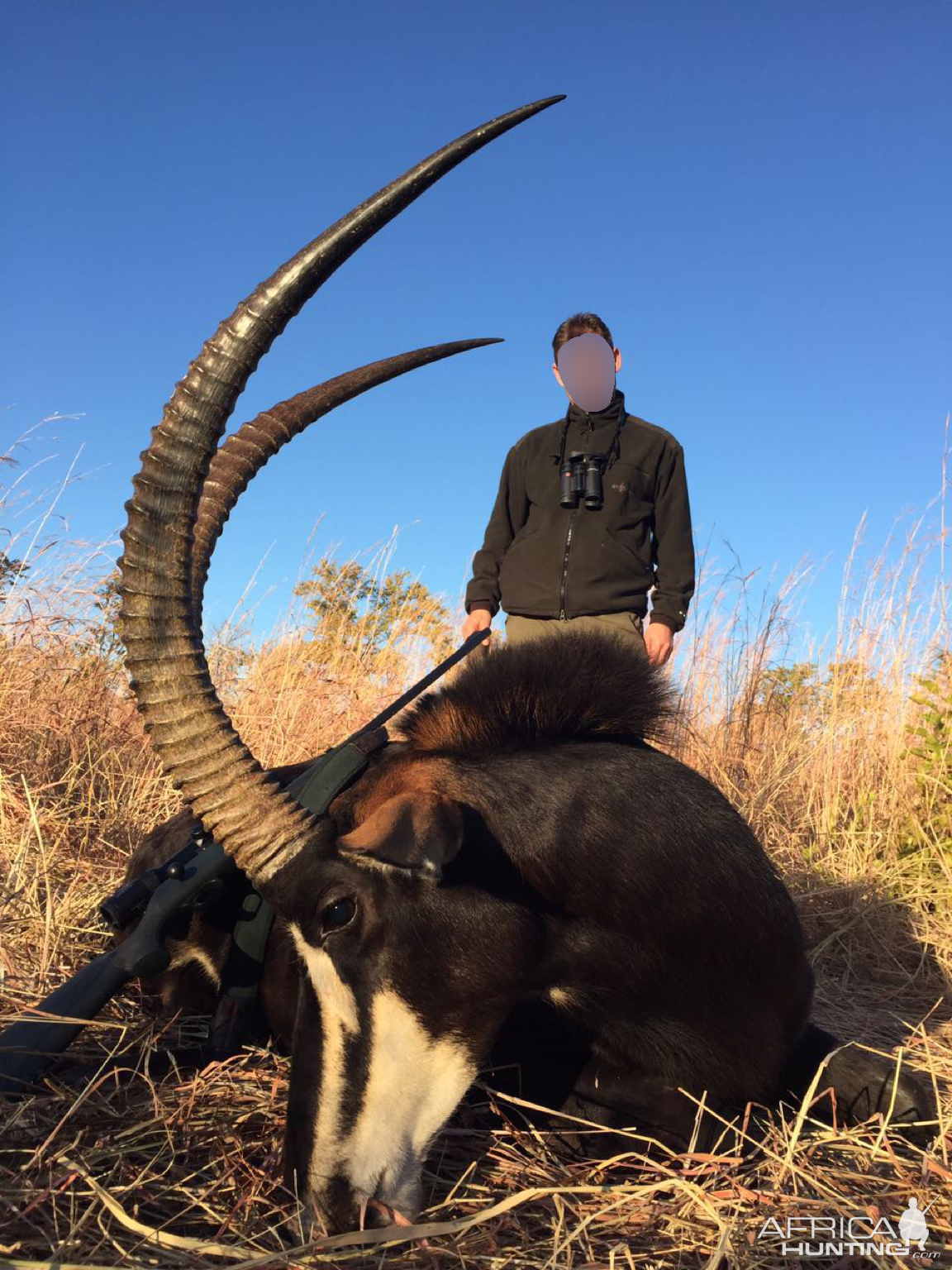 Sable Antelope Hunting