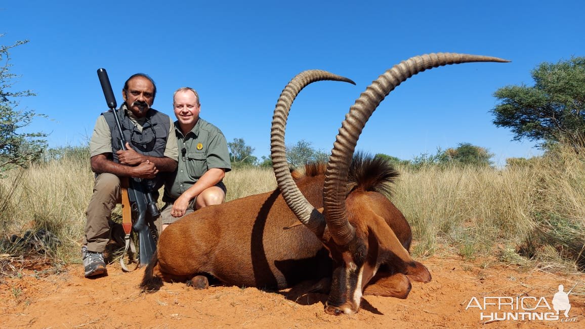 Sable at De Klerk Safaris