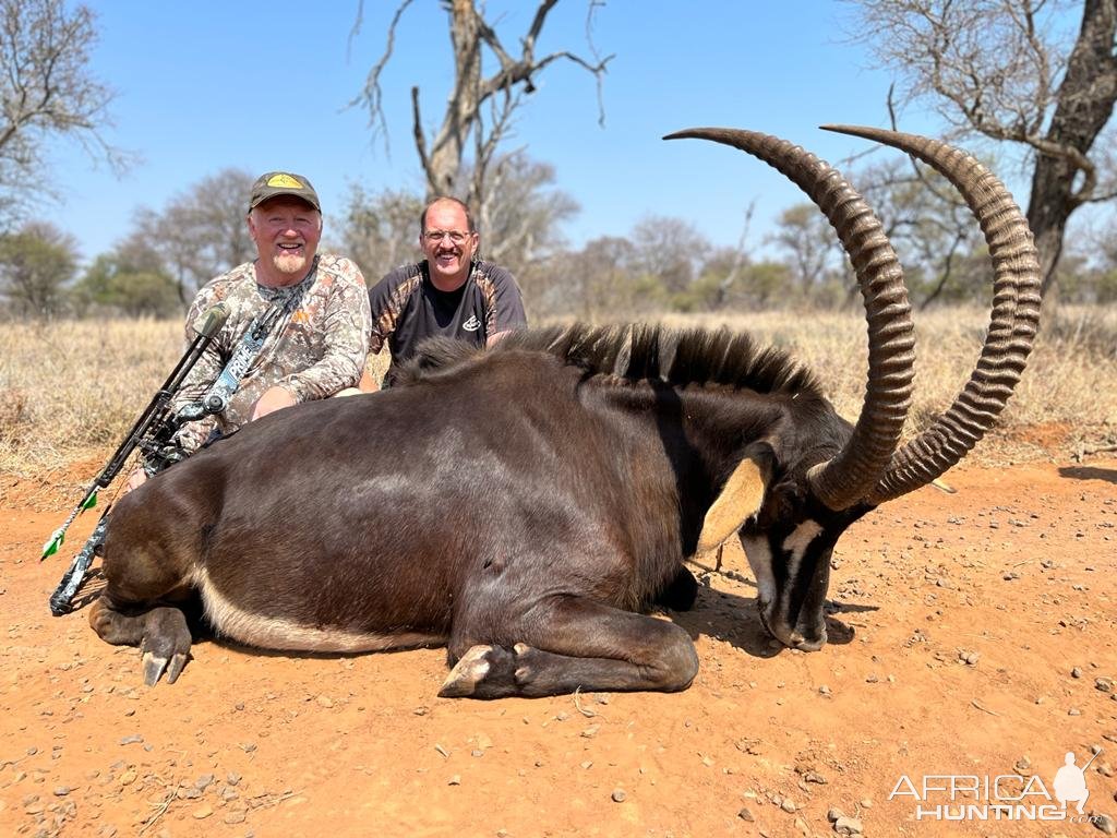 Sable Bow Hunt South Africa