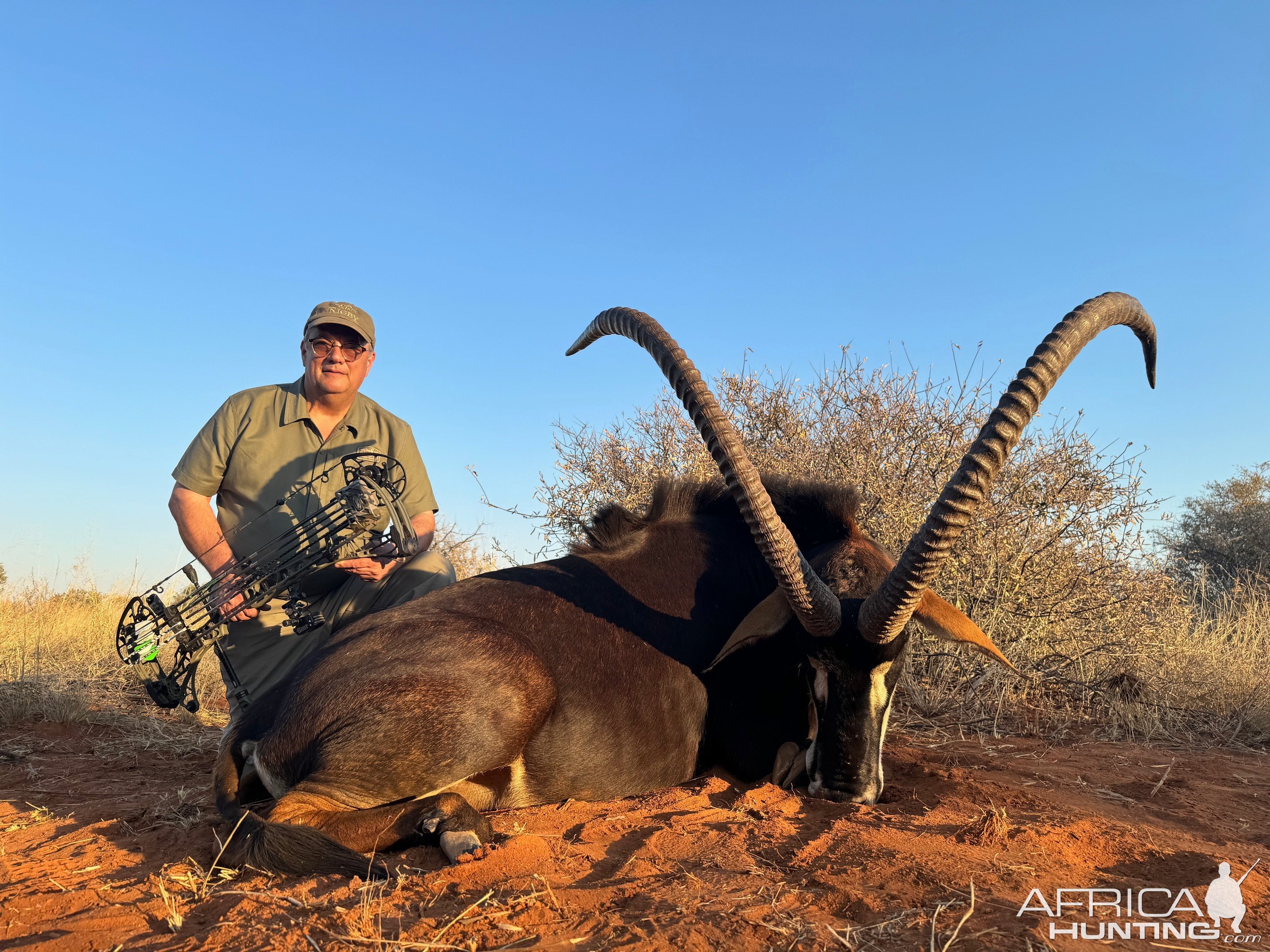 Sable Bow Hunt South Africa