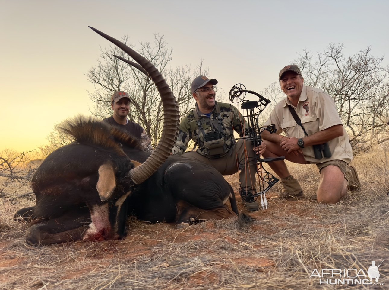 Sable Bow Hunt South Africa