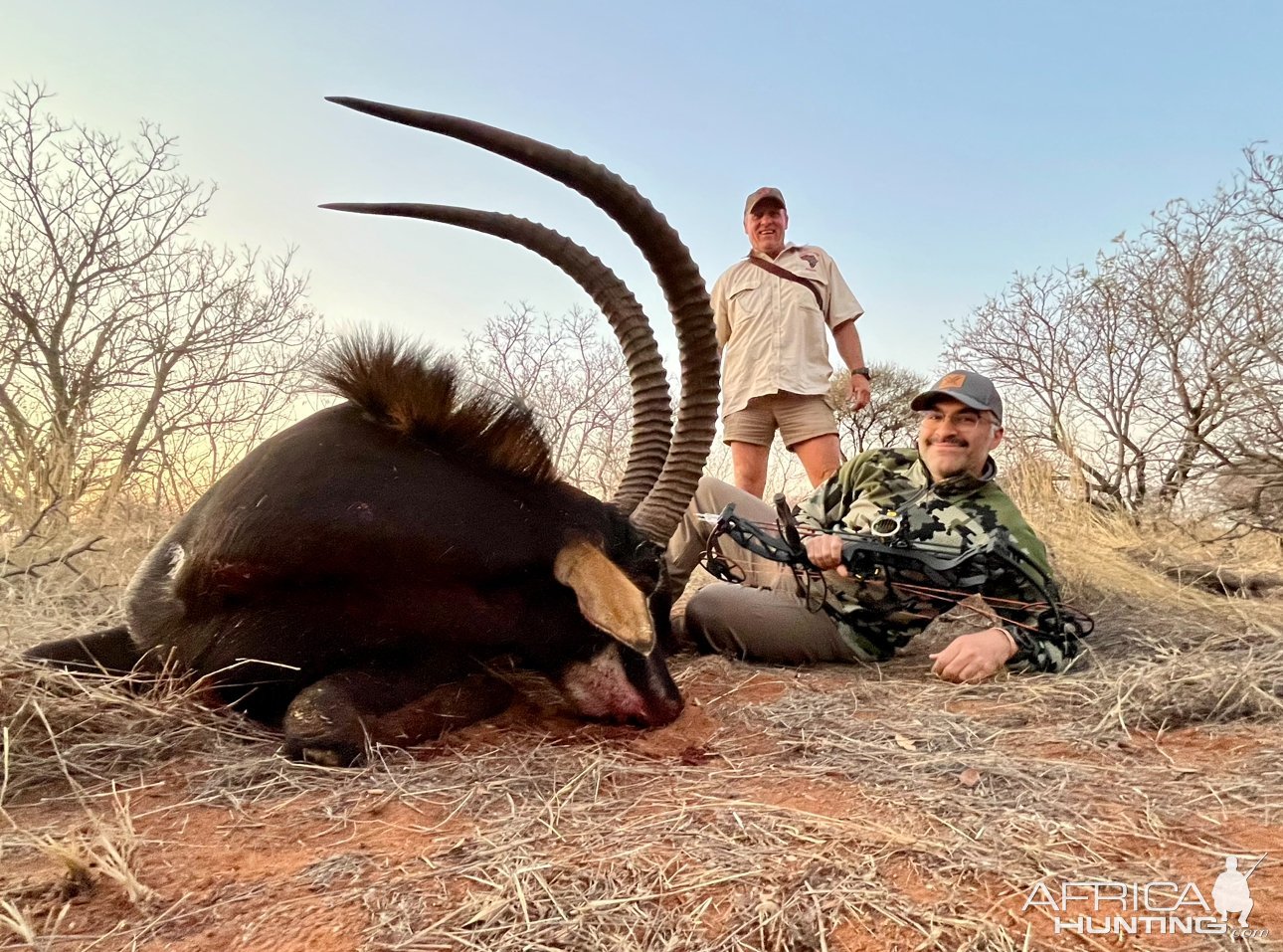 Sable Bow Hunt South Africa