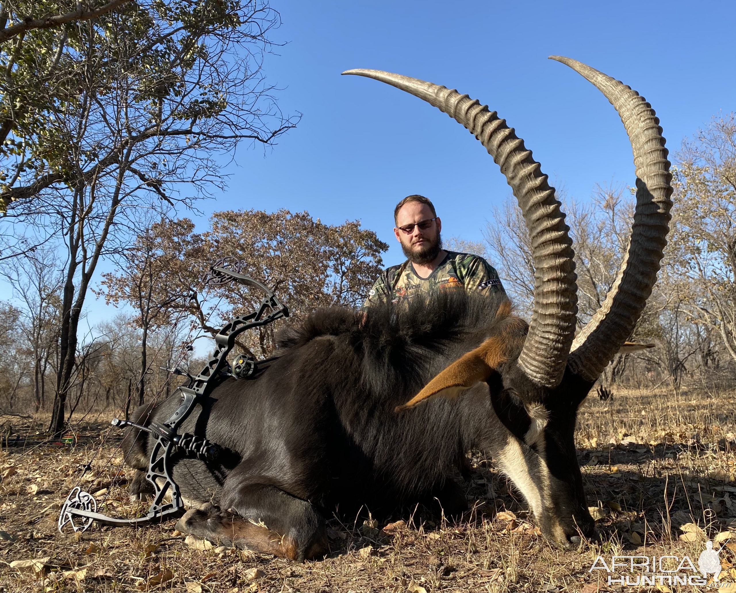 Sable Bow Hunting Limpopo South Africa