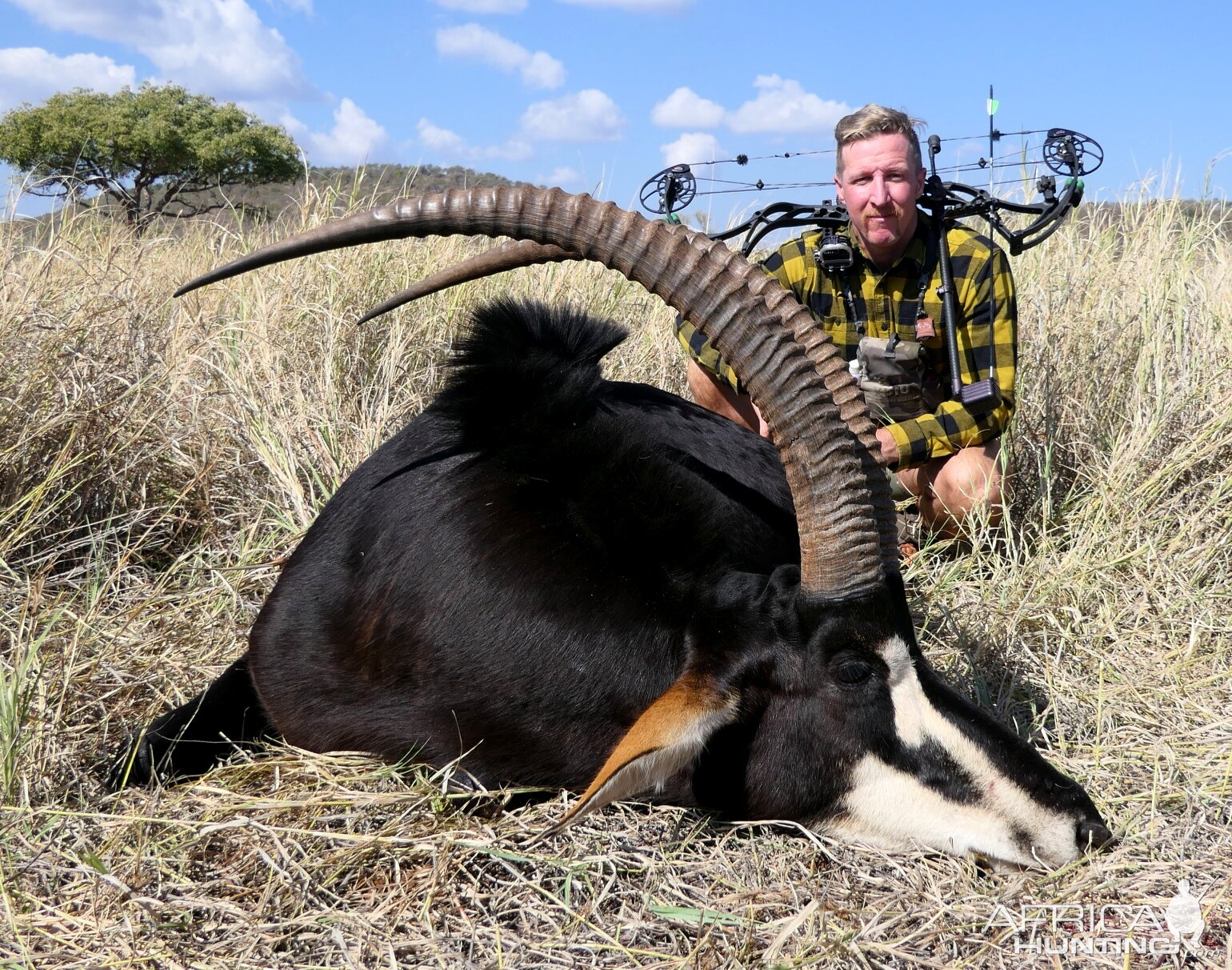 Sable Bow Hunting South Africa