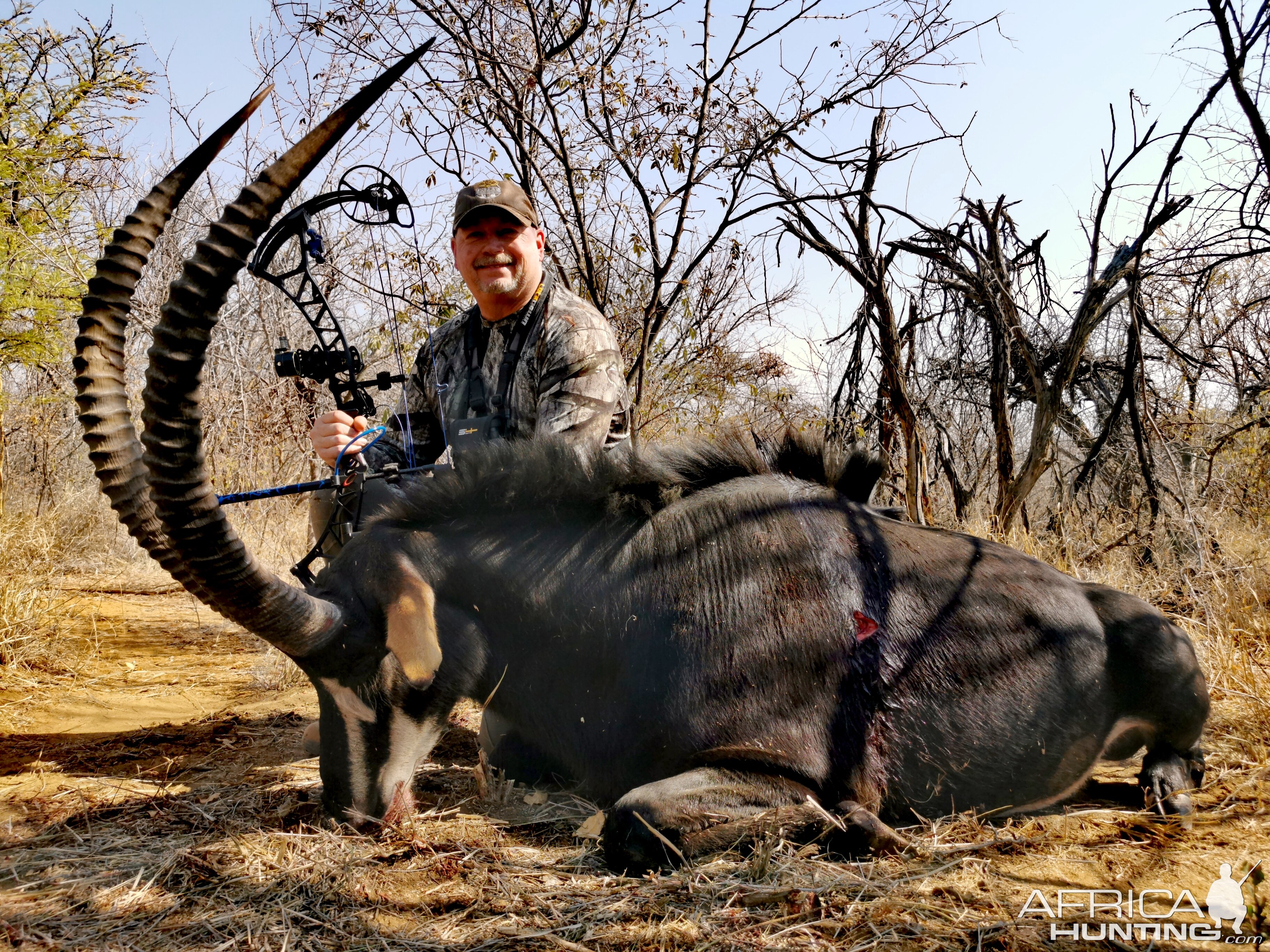 Sable Bow Hunting South Africa