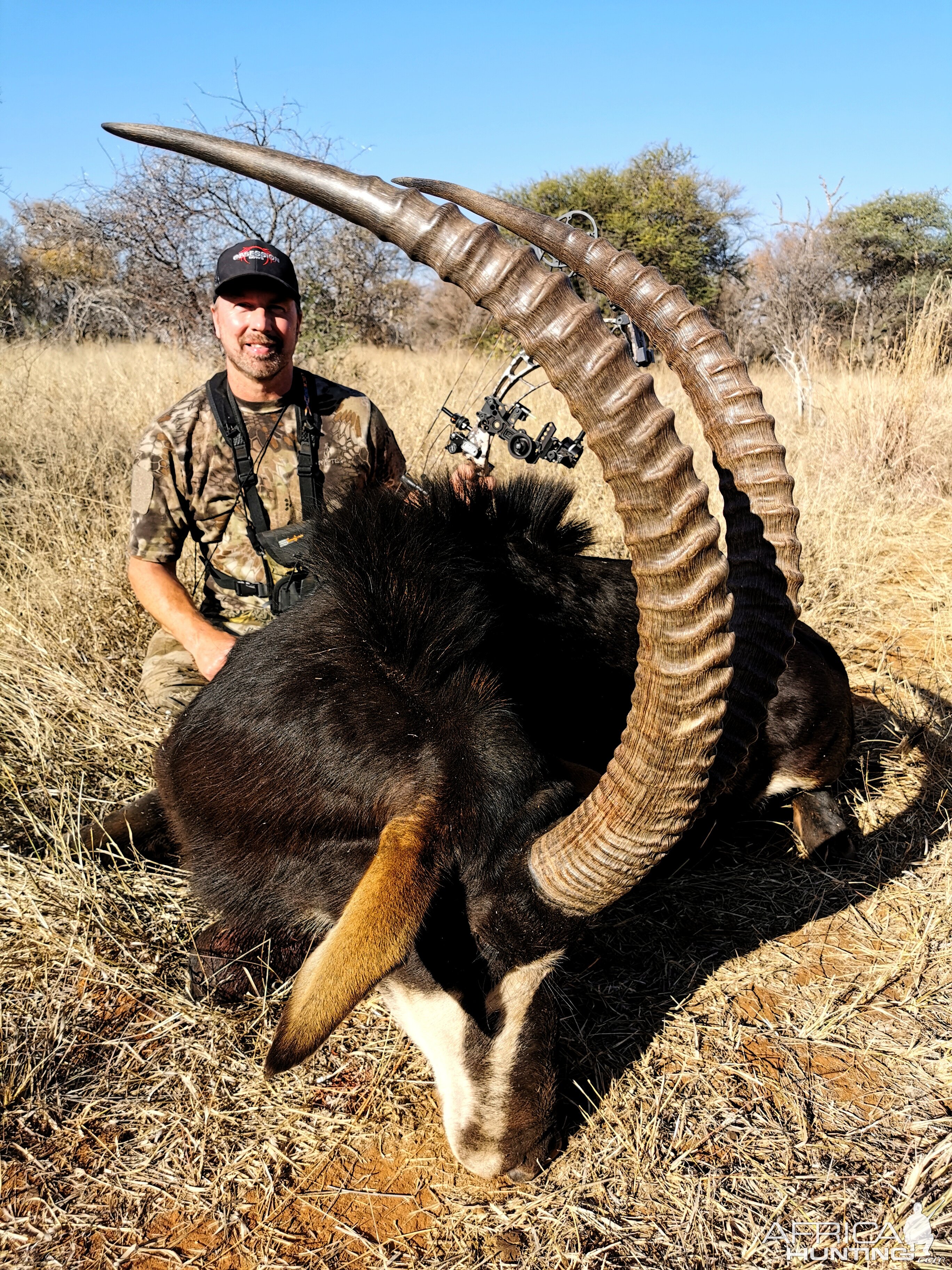 Sable Bow Hunting South Africa