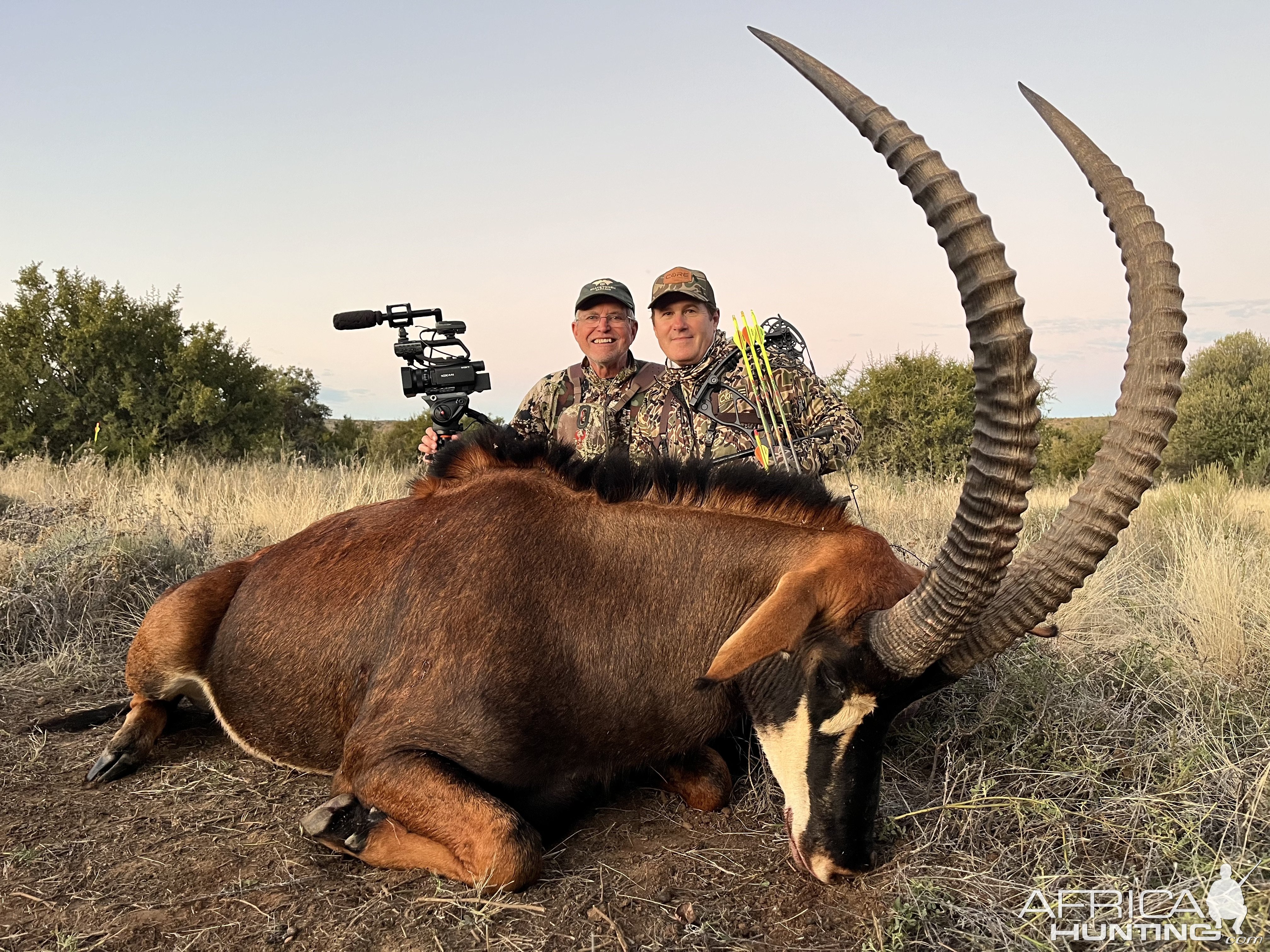 Sable Bow Hunting South Africa