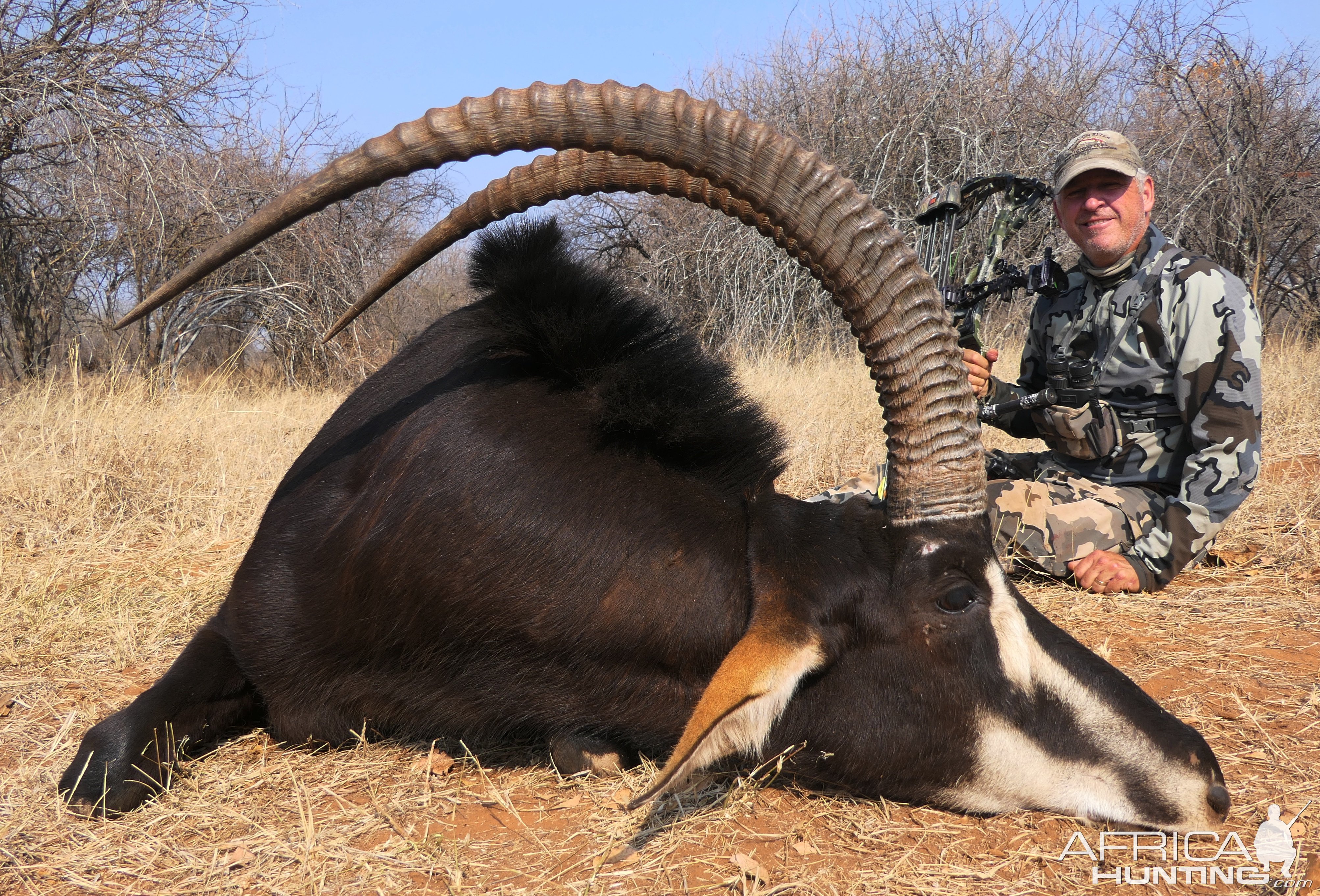 Sable Bow Hunting South Africa