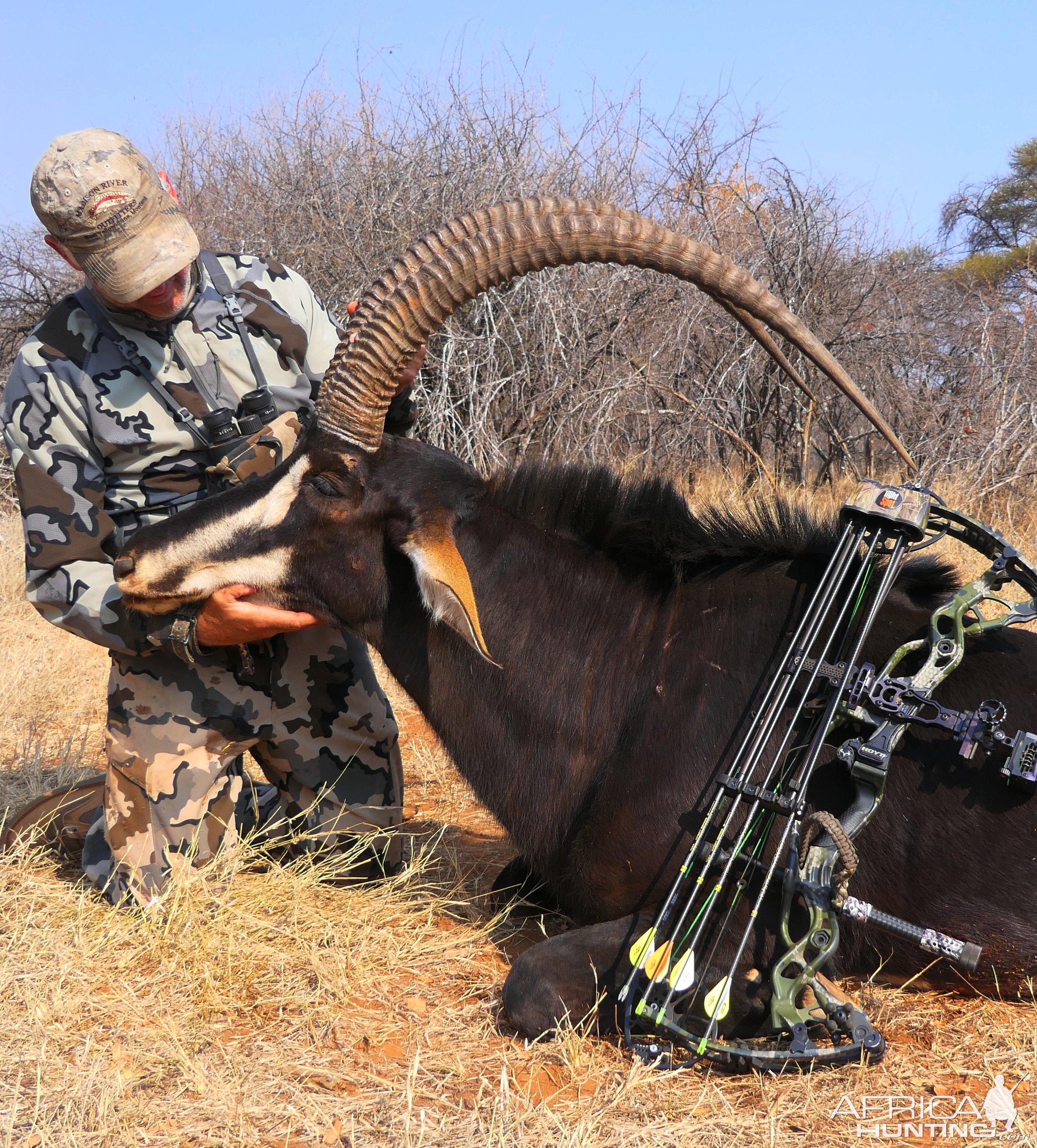 Sable Bow Hunting South Africa