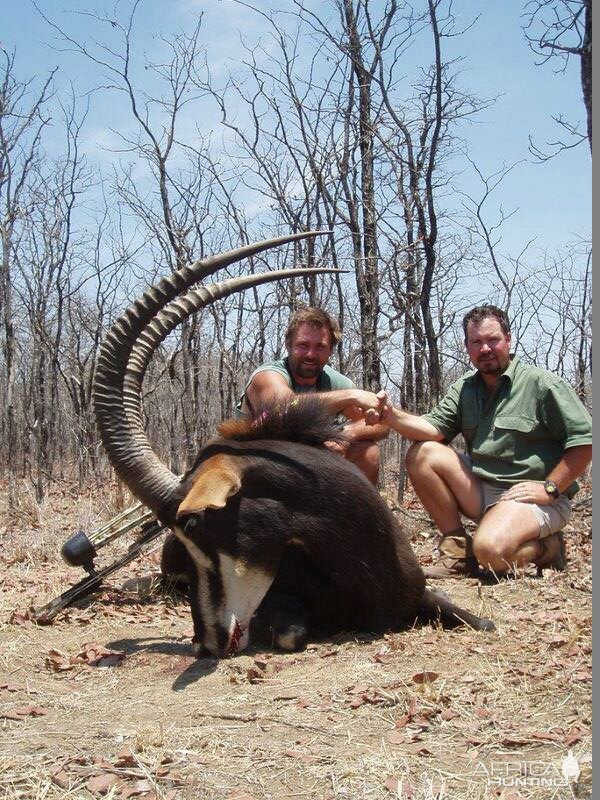 Sable Bowhunt in Zimbabwe