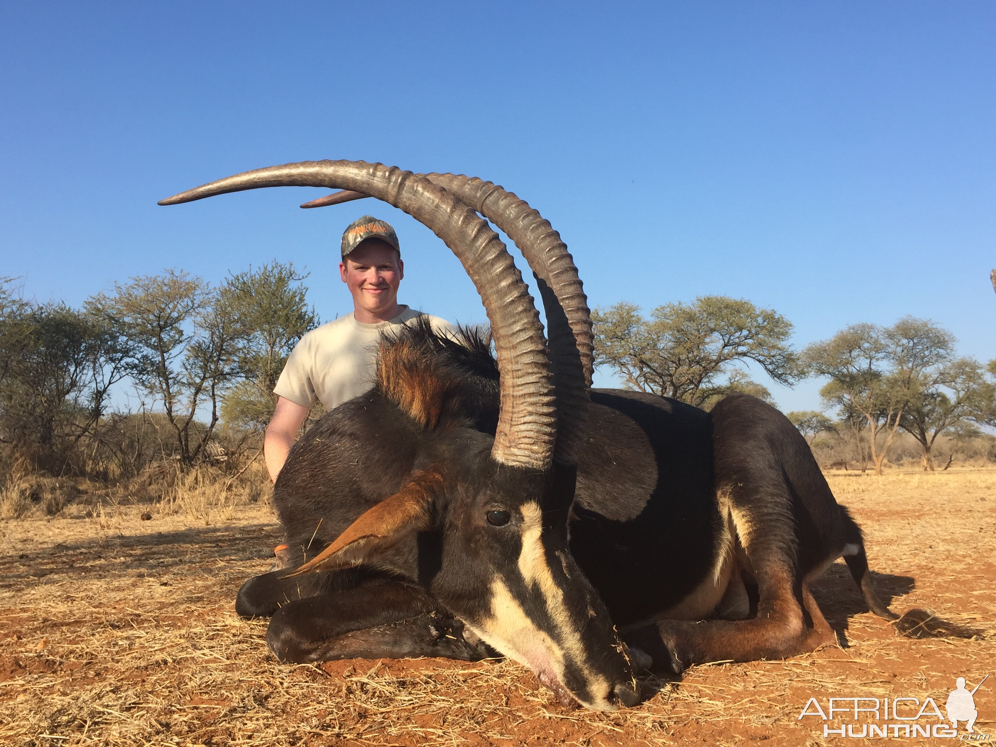 Sable BowHunting in South Africa