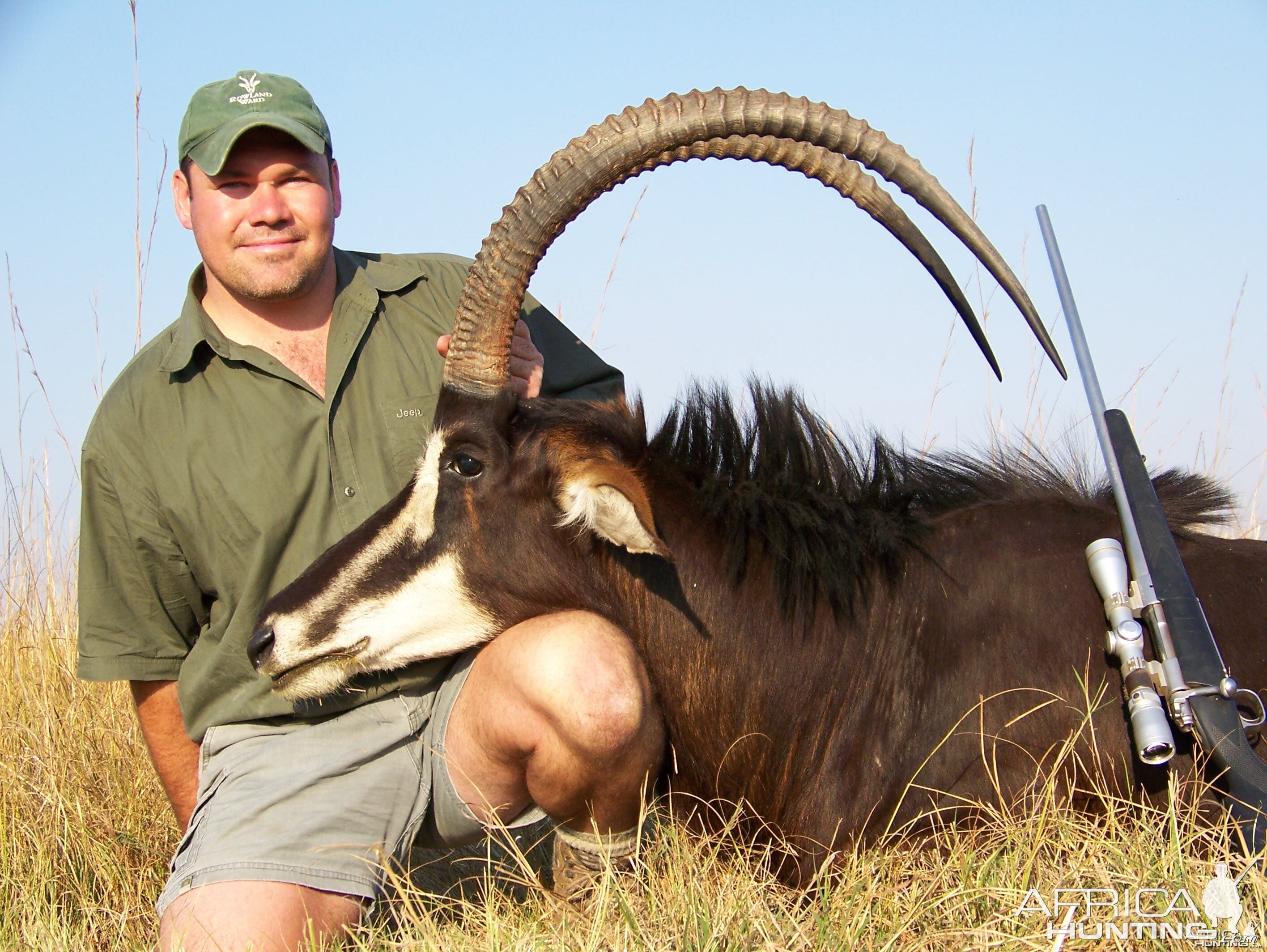 Sable Chobe Zimbabwe