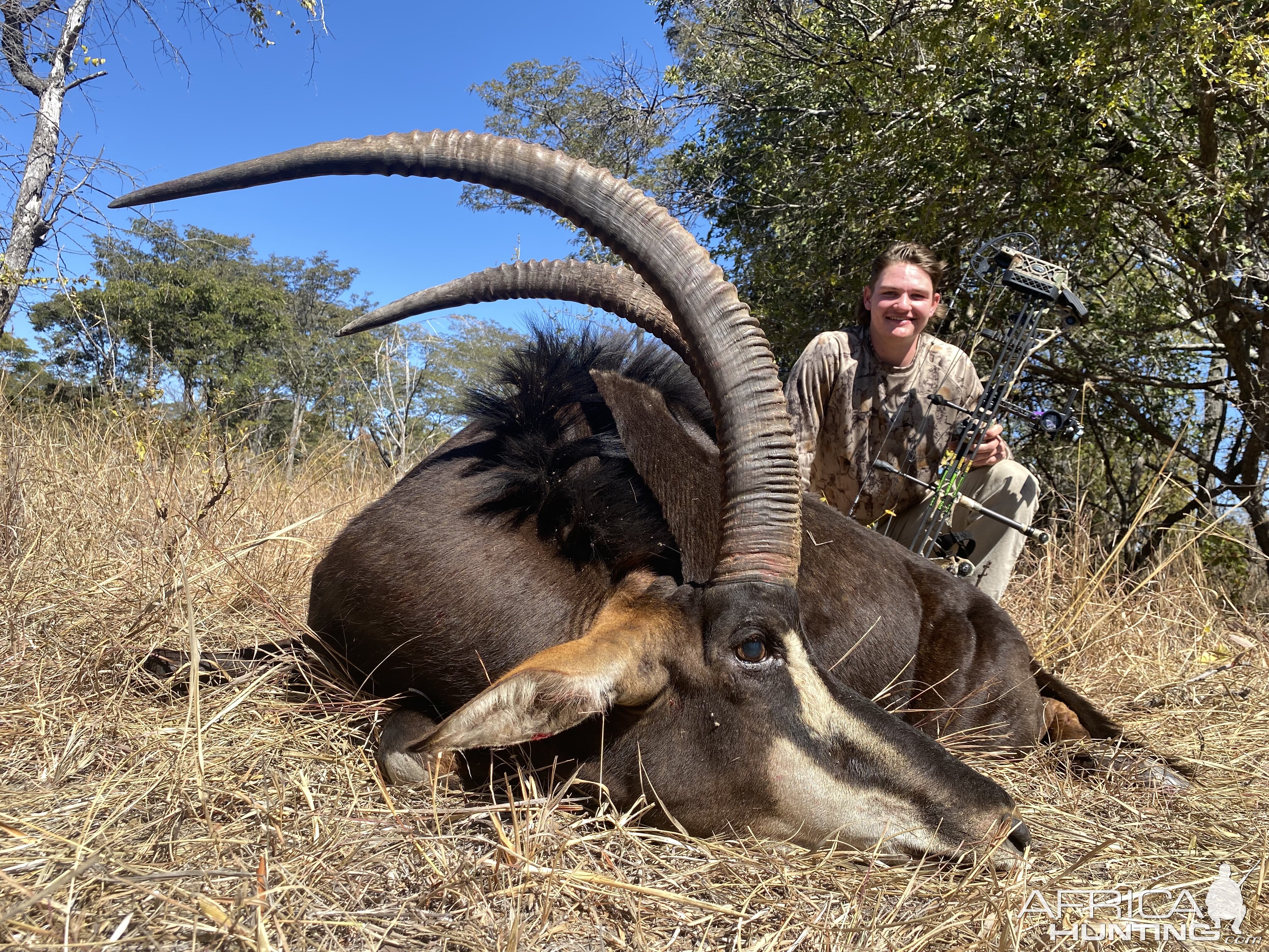 Sable Compound Bow Hunting Zambia