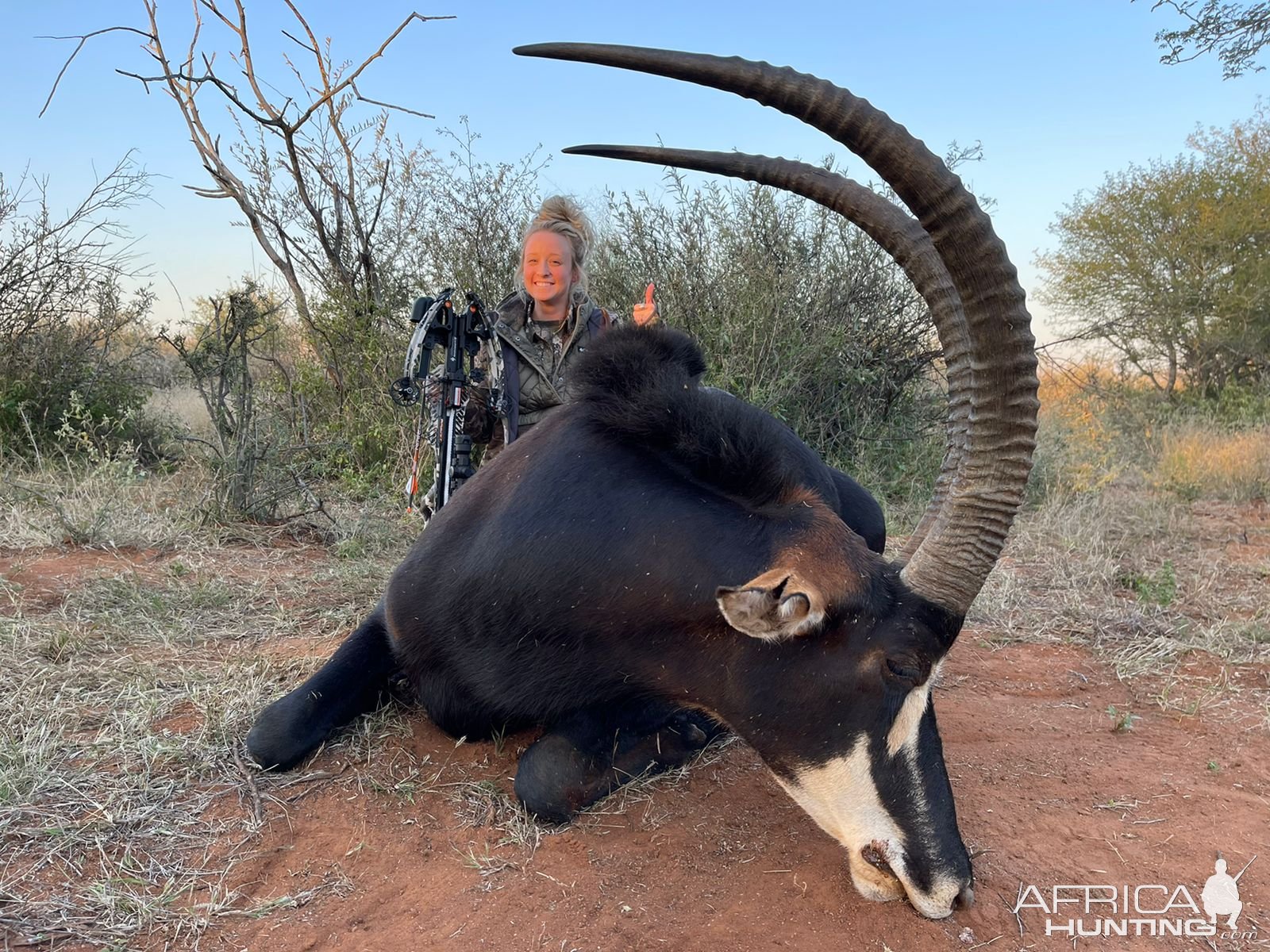 Sable Crossbow Hunt South Africa