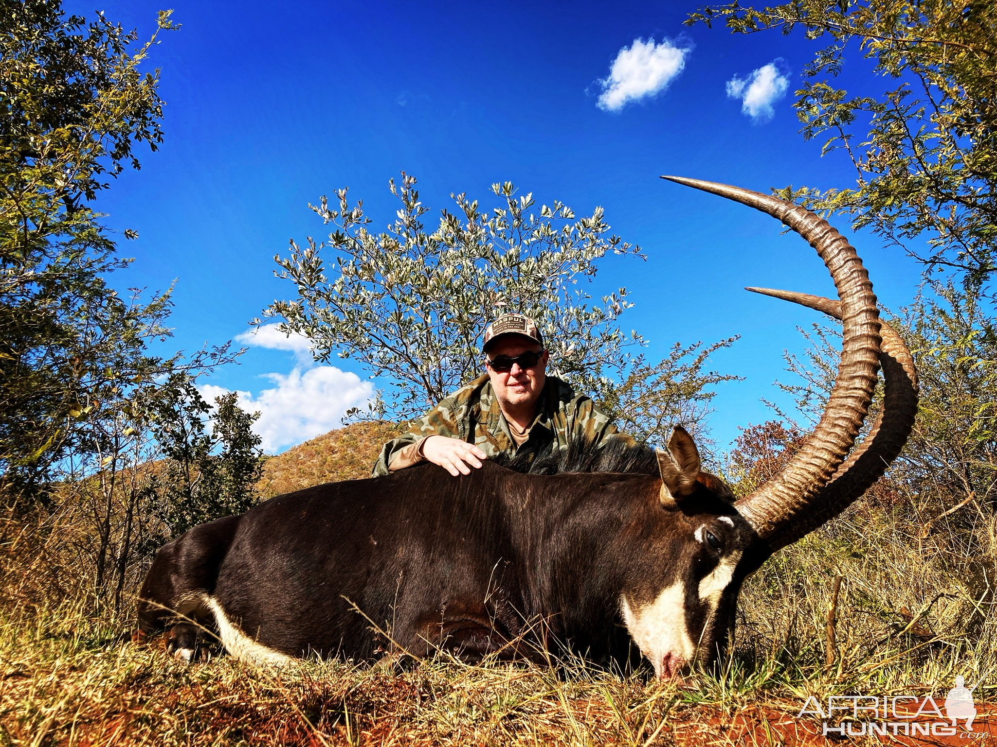 Sable Crossbow Hunting