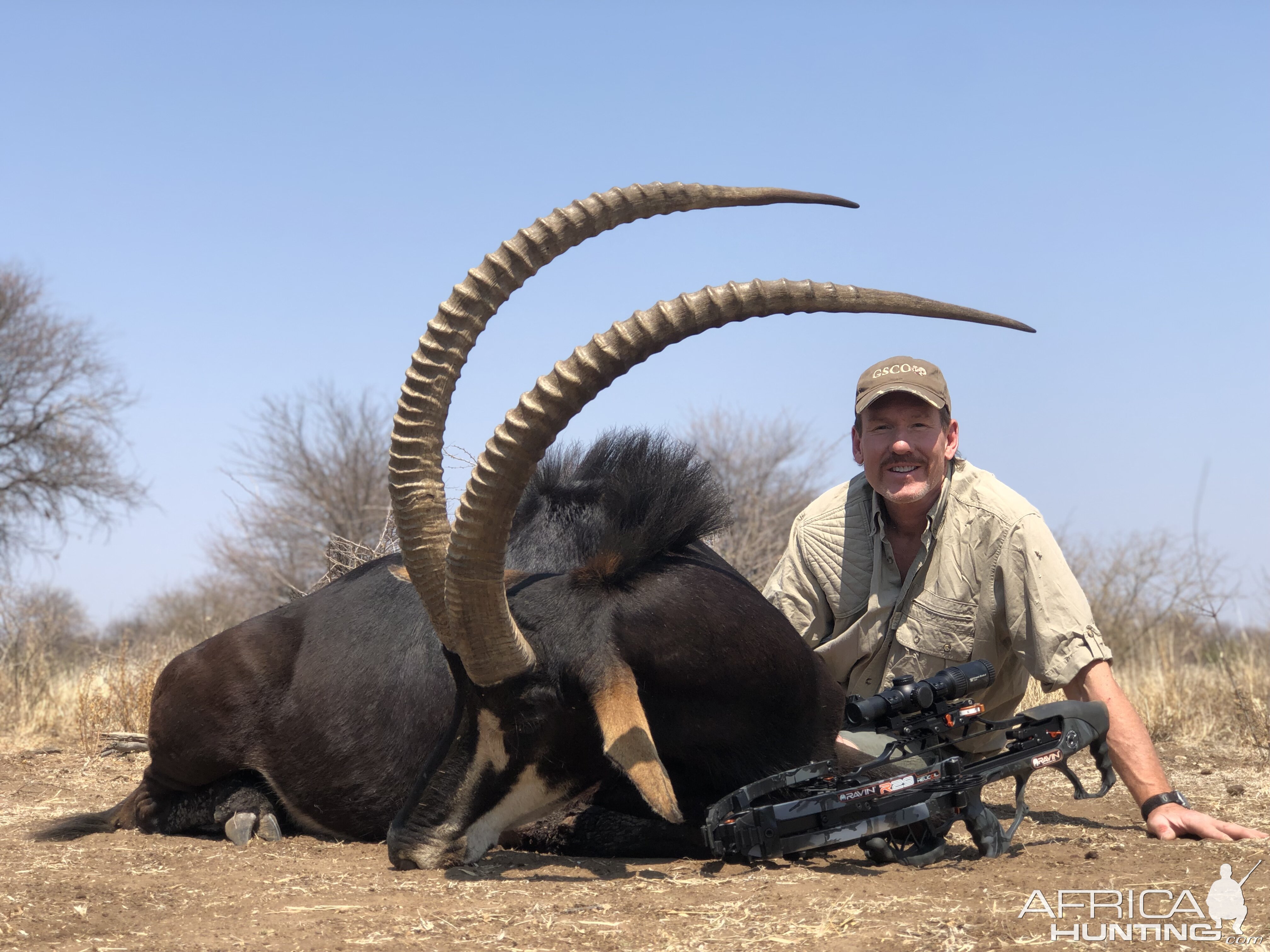 Sable Crossbow