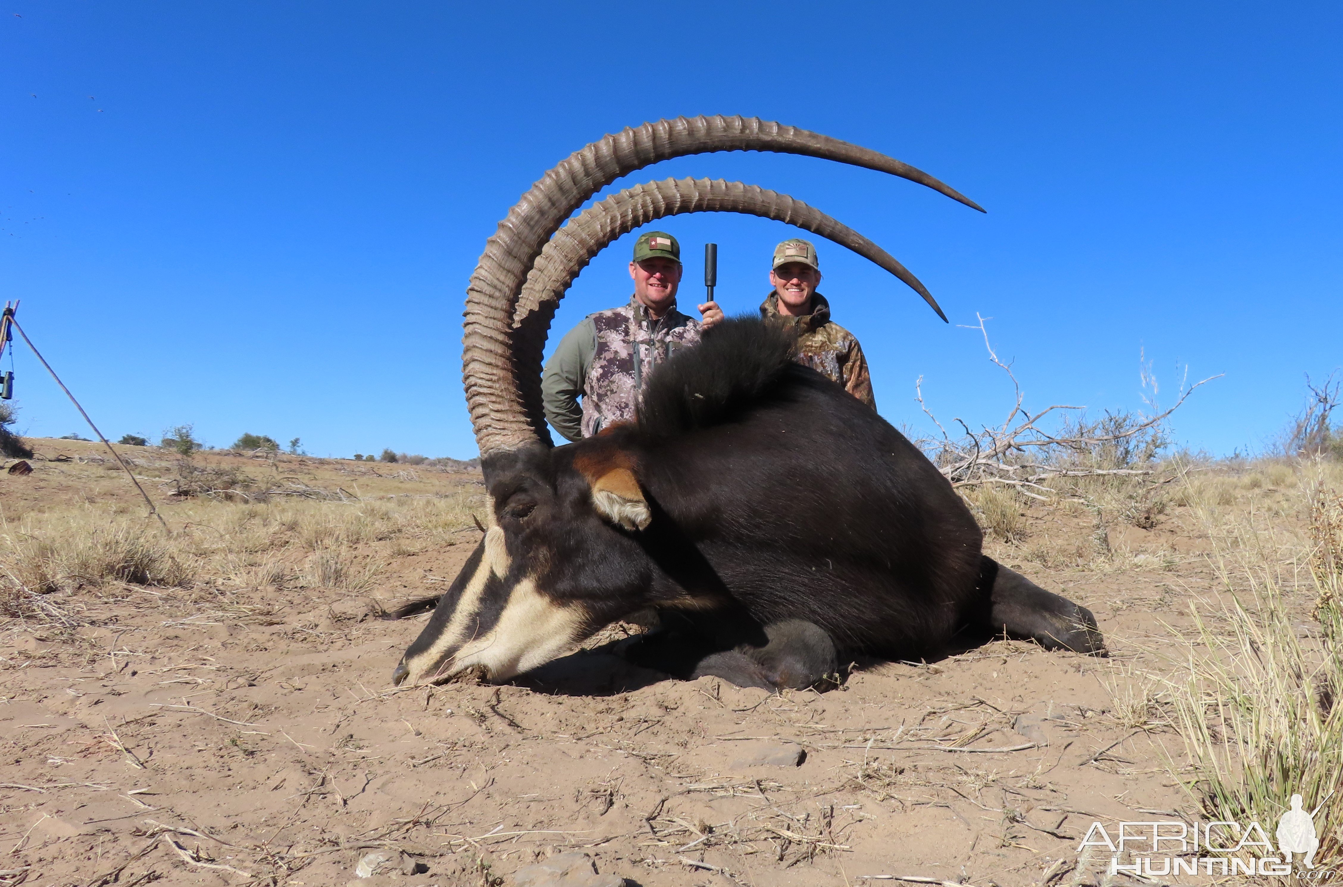 Sable Hunt Botswana