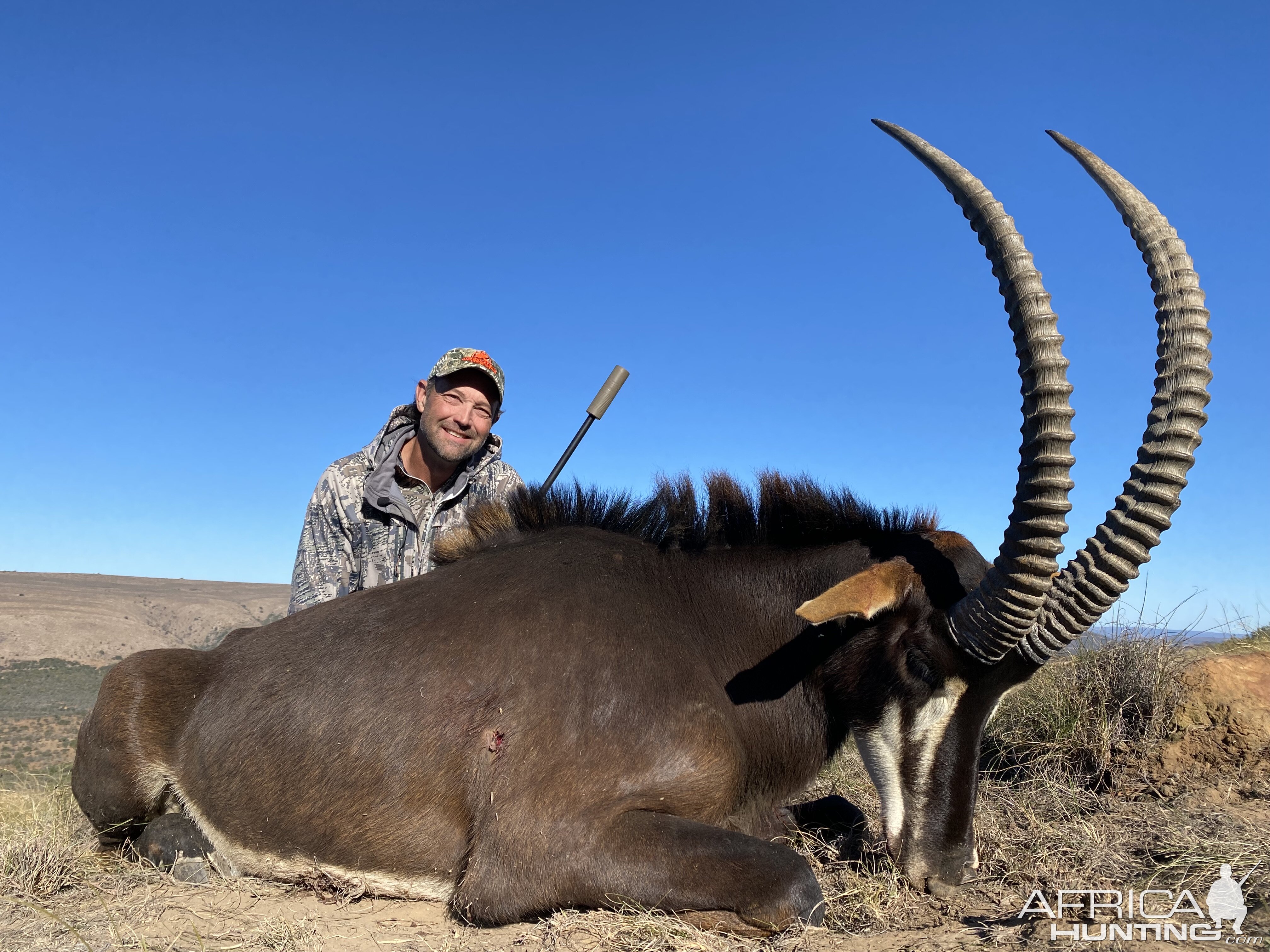 Sable Hunt Eastern Cape South Africa