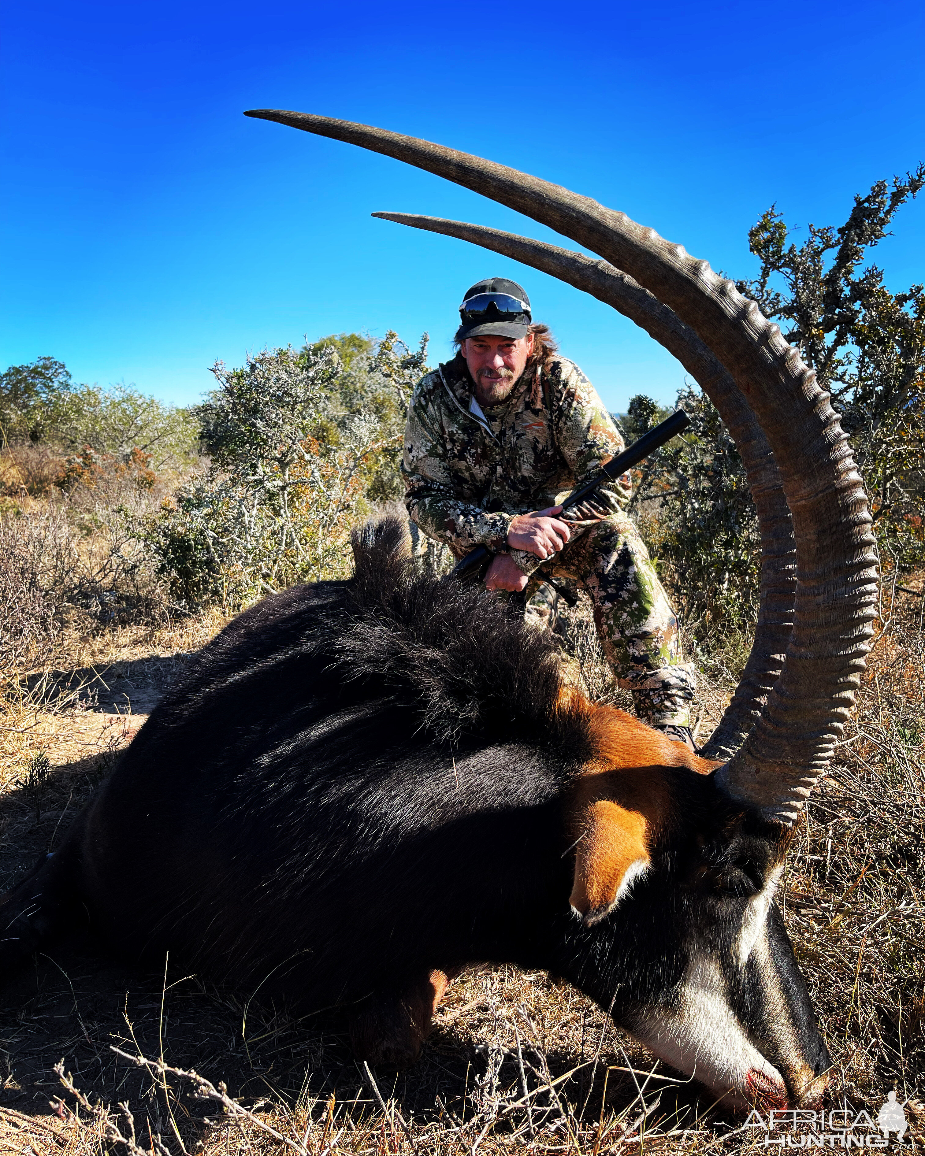 Sable Hunt Eastern Cape South Africa